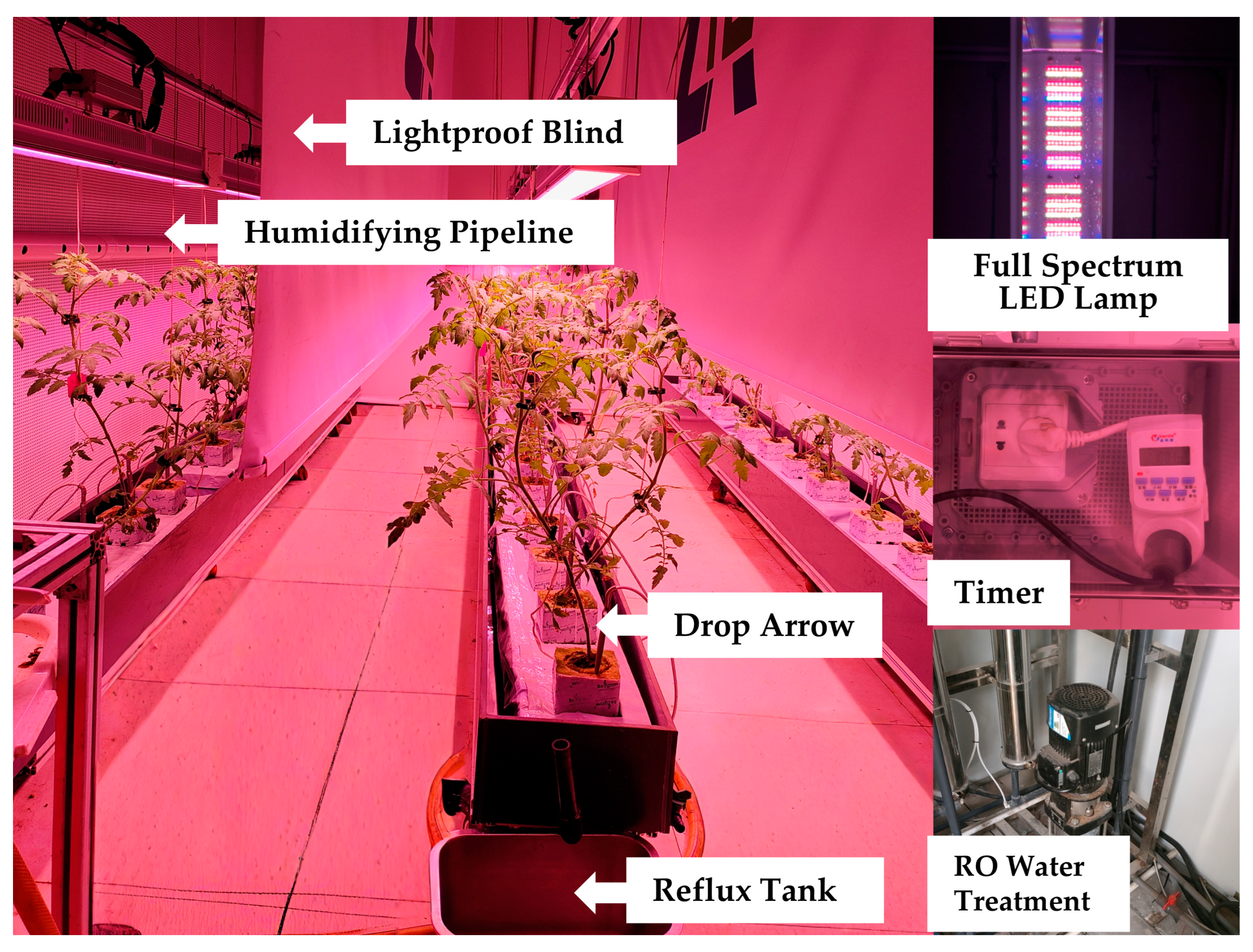 Agronomy 16 00031 g001