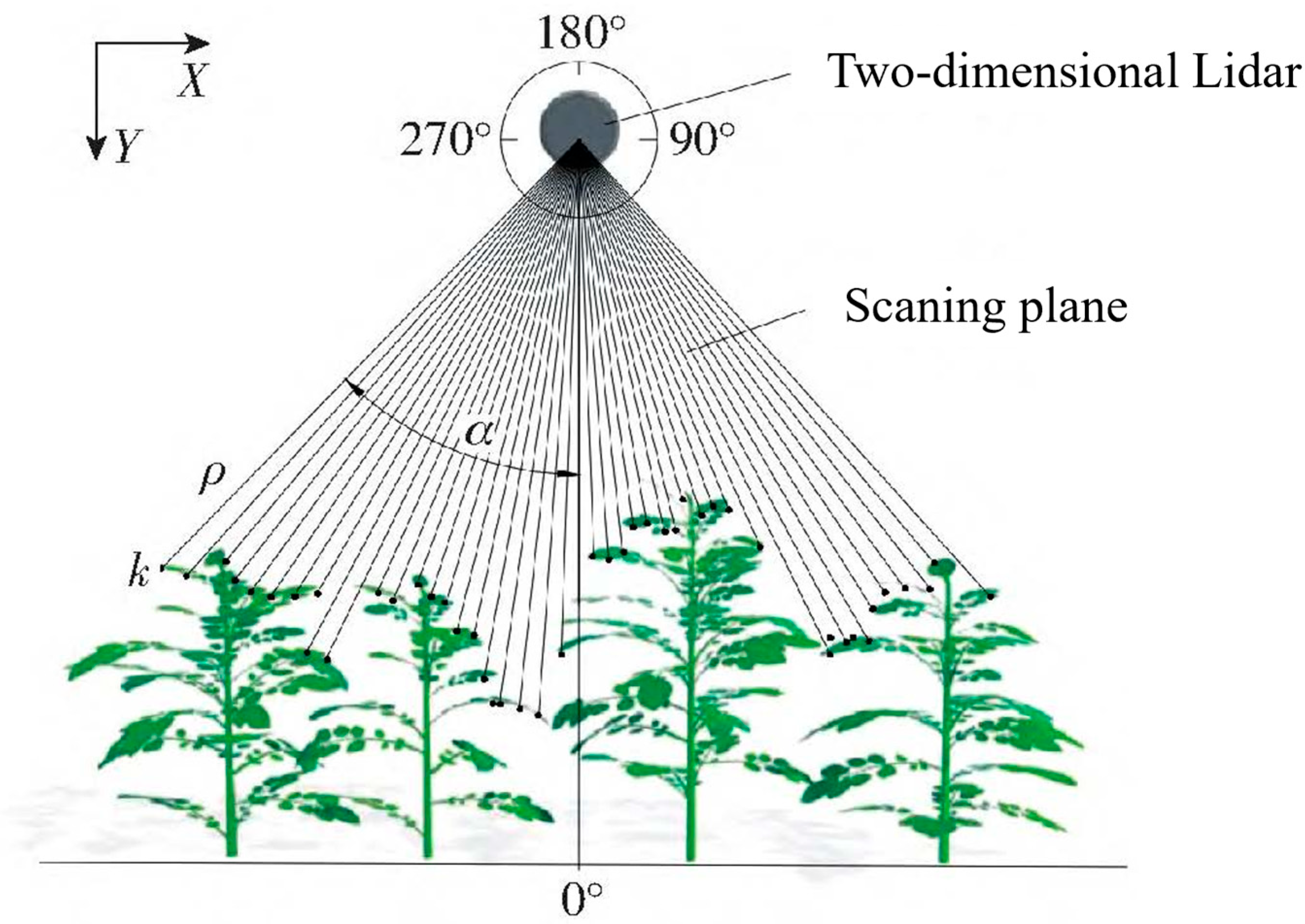 Agronomy 16 00033 g004