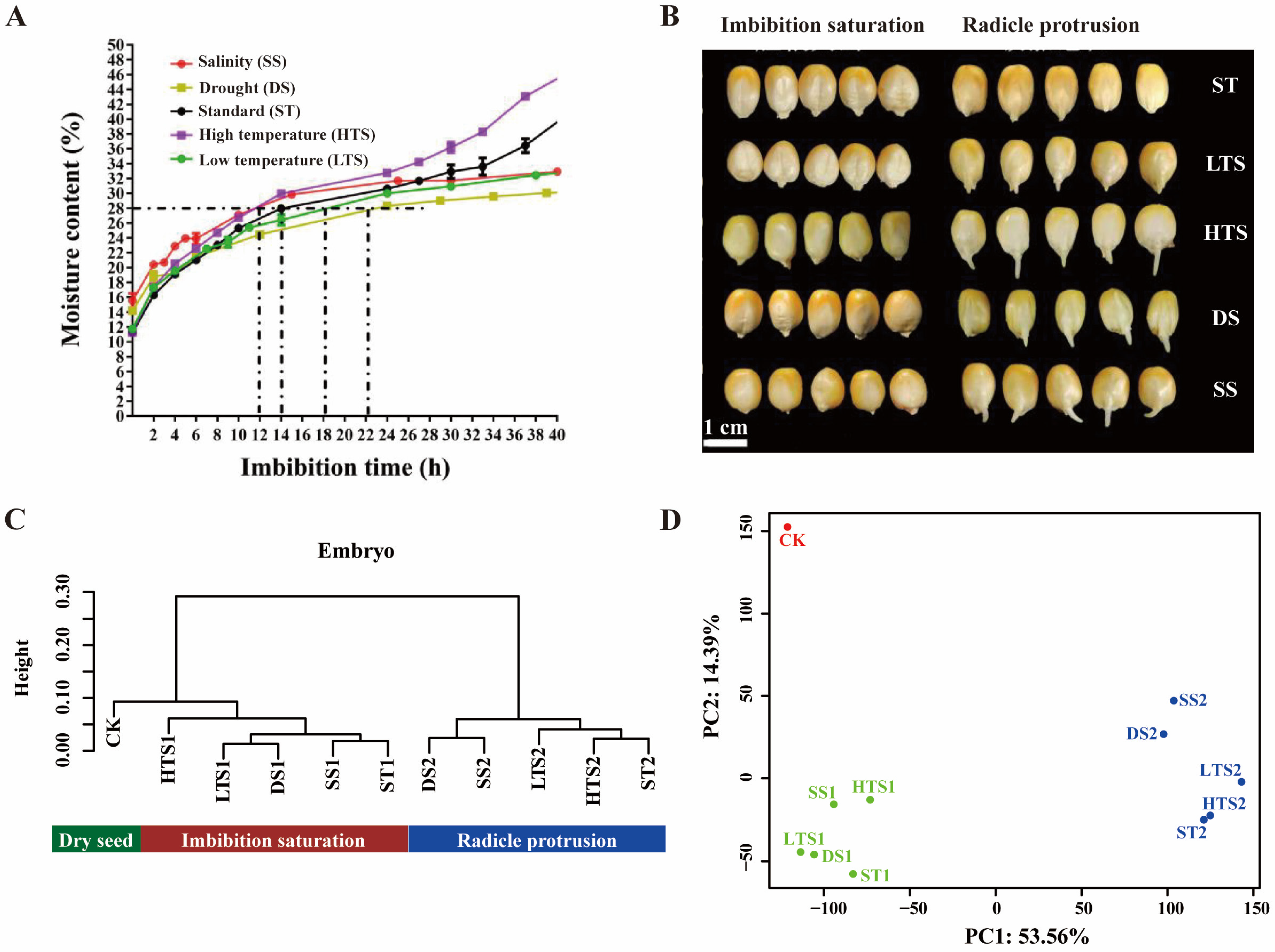 Agronomy 16 00040 g002