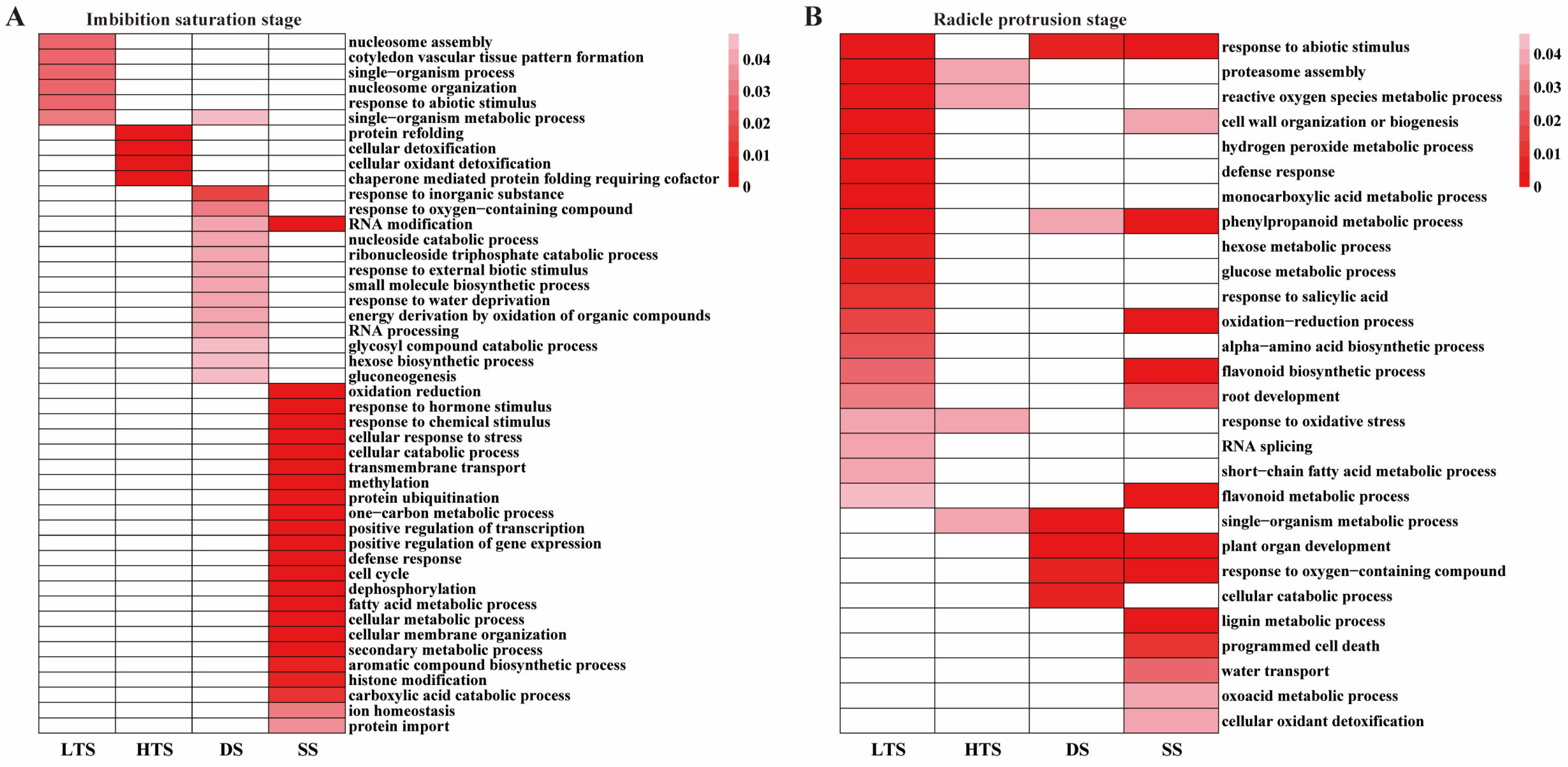 Agronomy 16 00040 g004