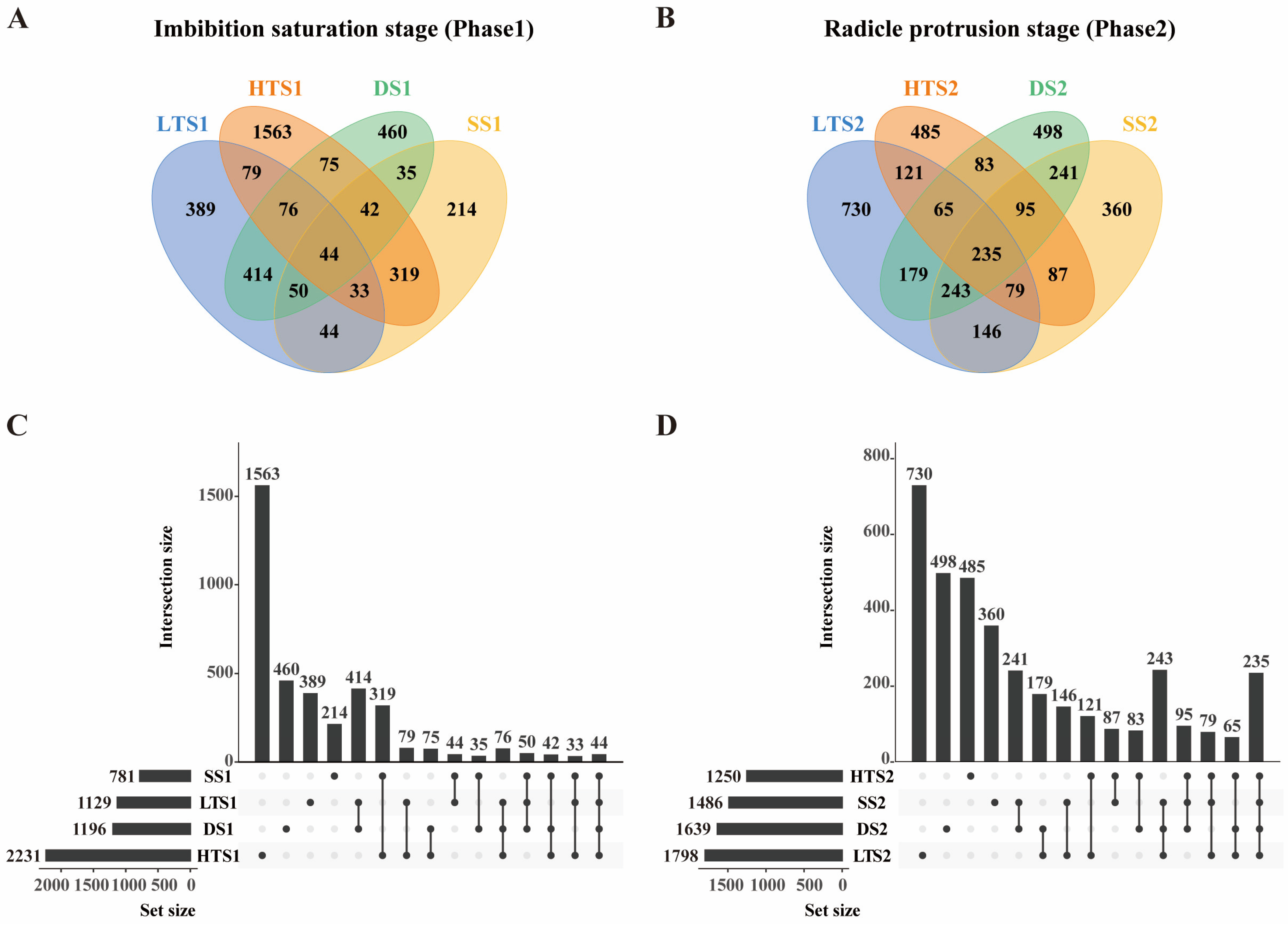Agronomy 16 00040 g005