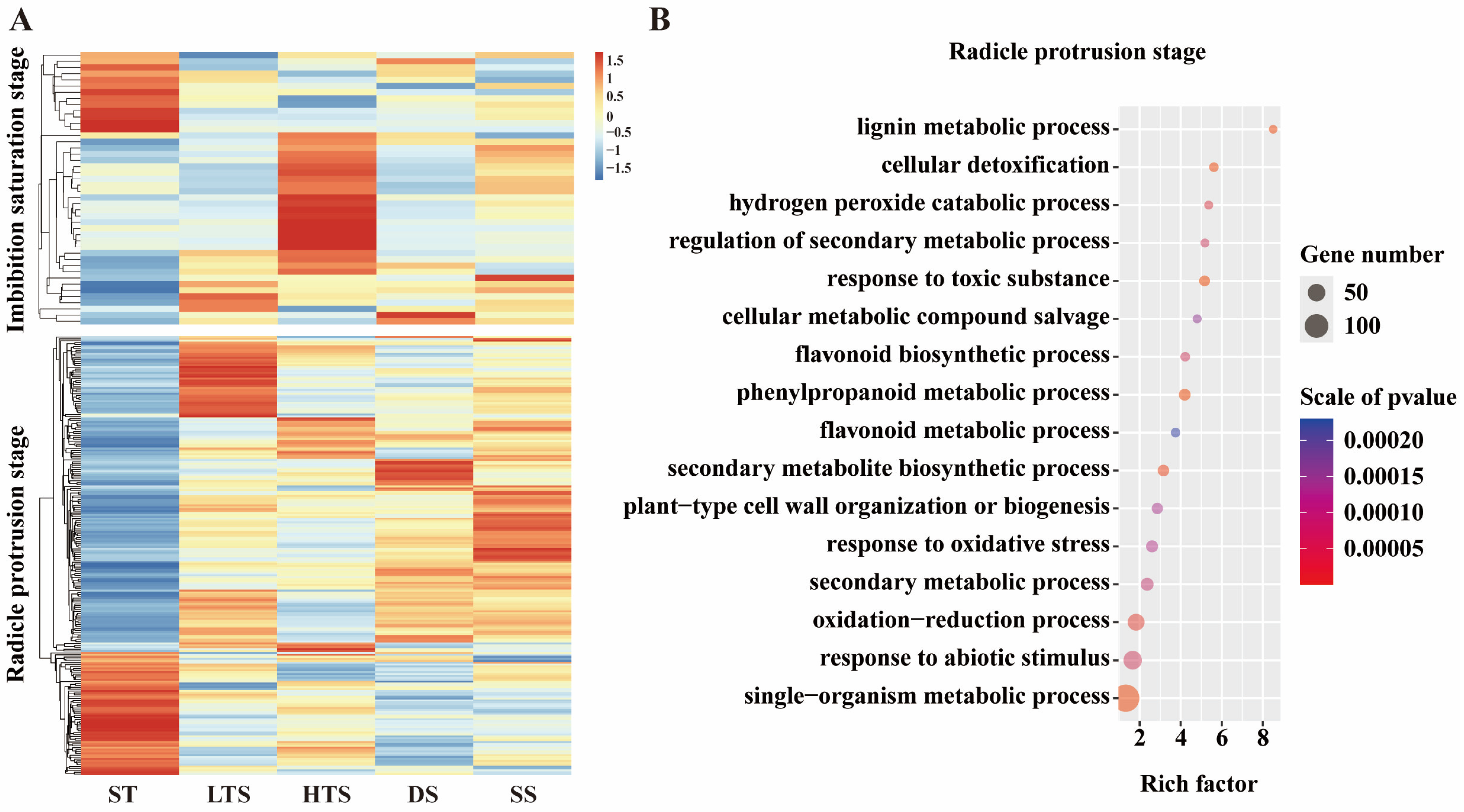 Agronomy 16 00040 g006