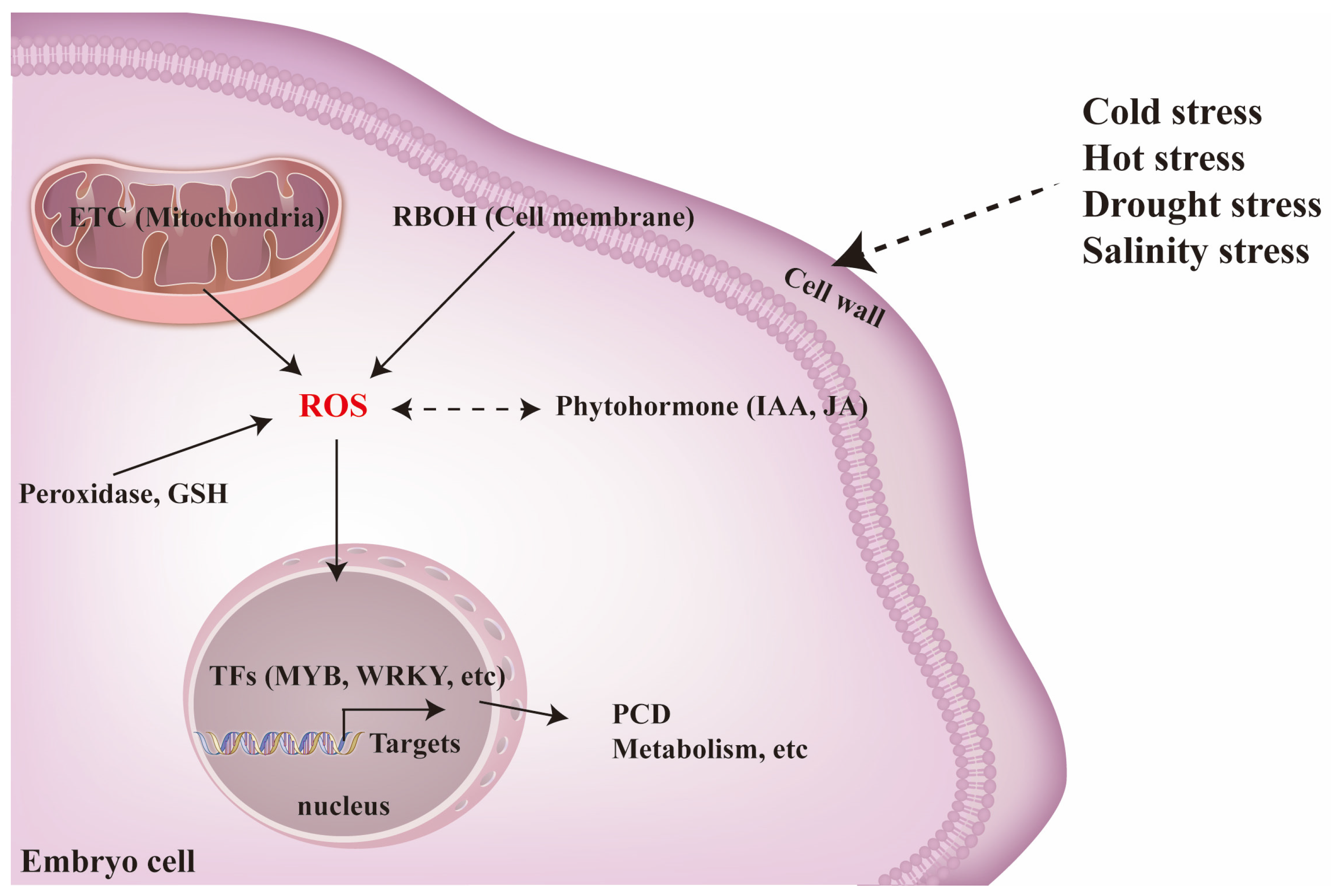 Agronomy 16 00040 g008