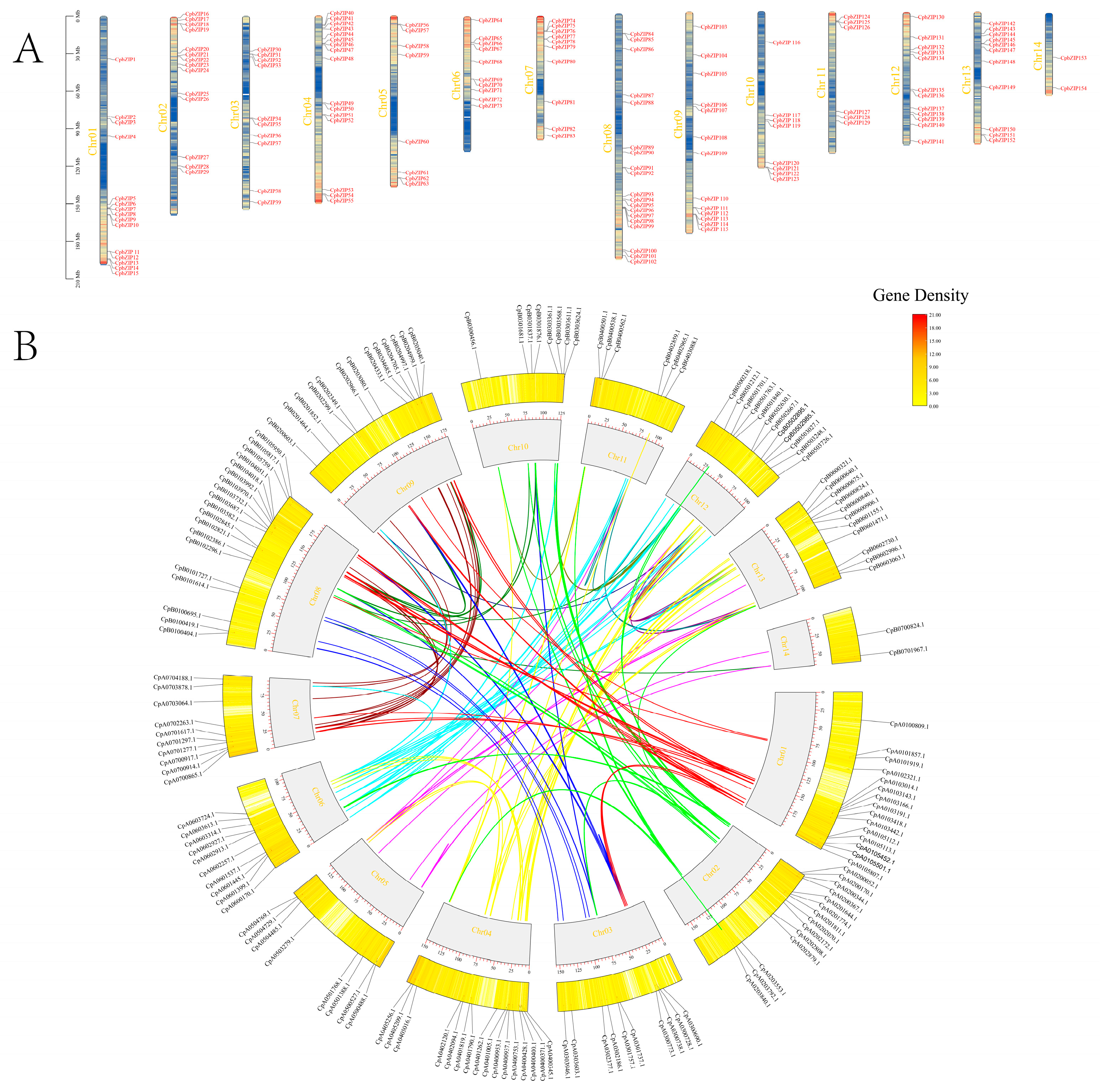 Agronomy 16 00043 g001