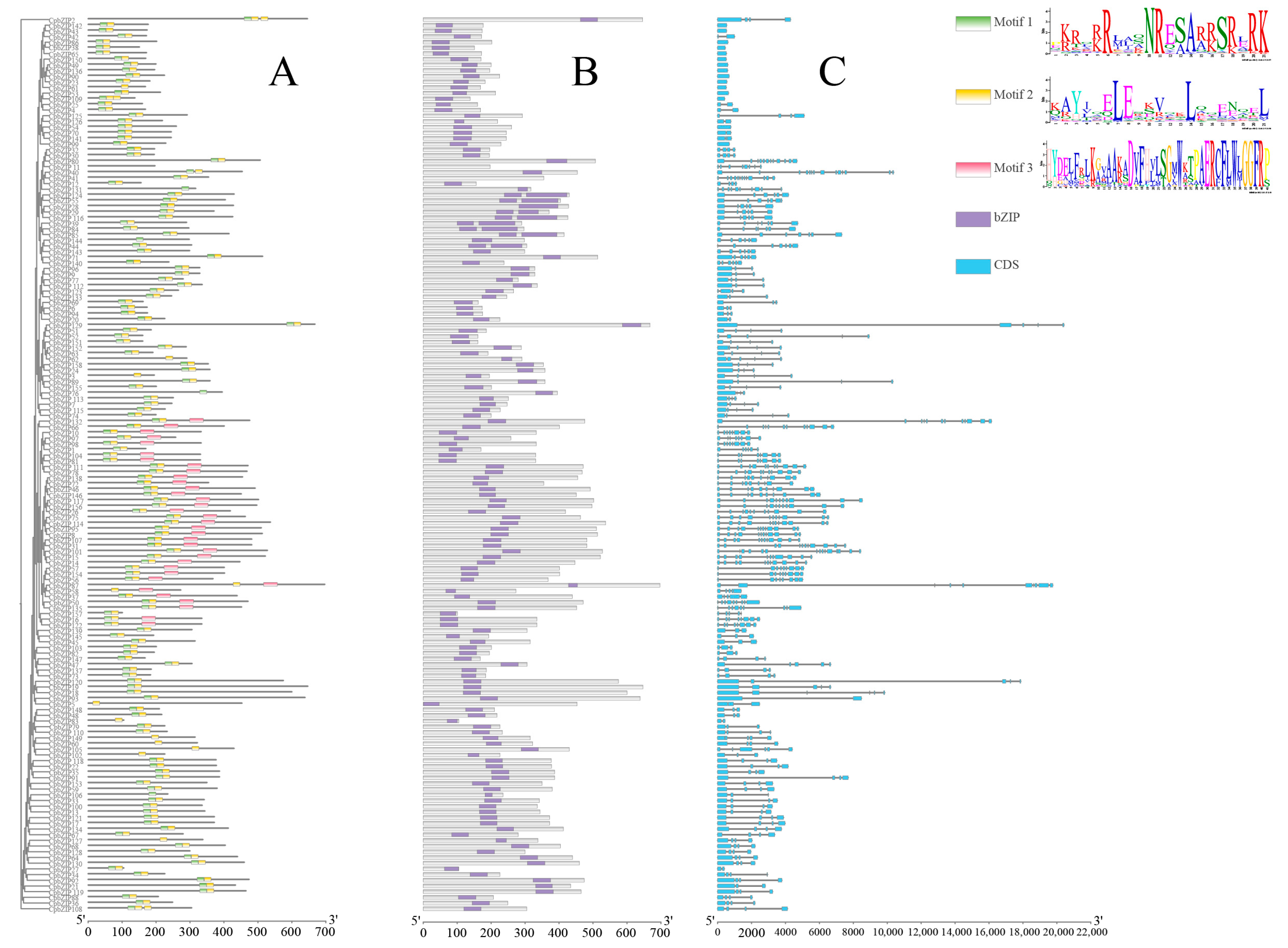 Agronomy 16 00043 g003