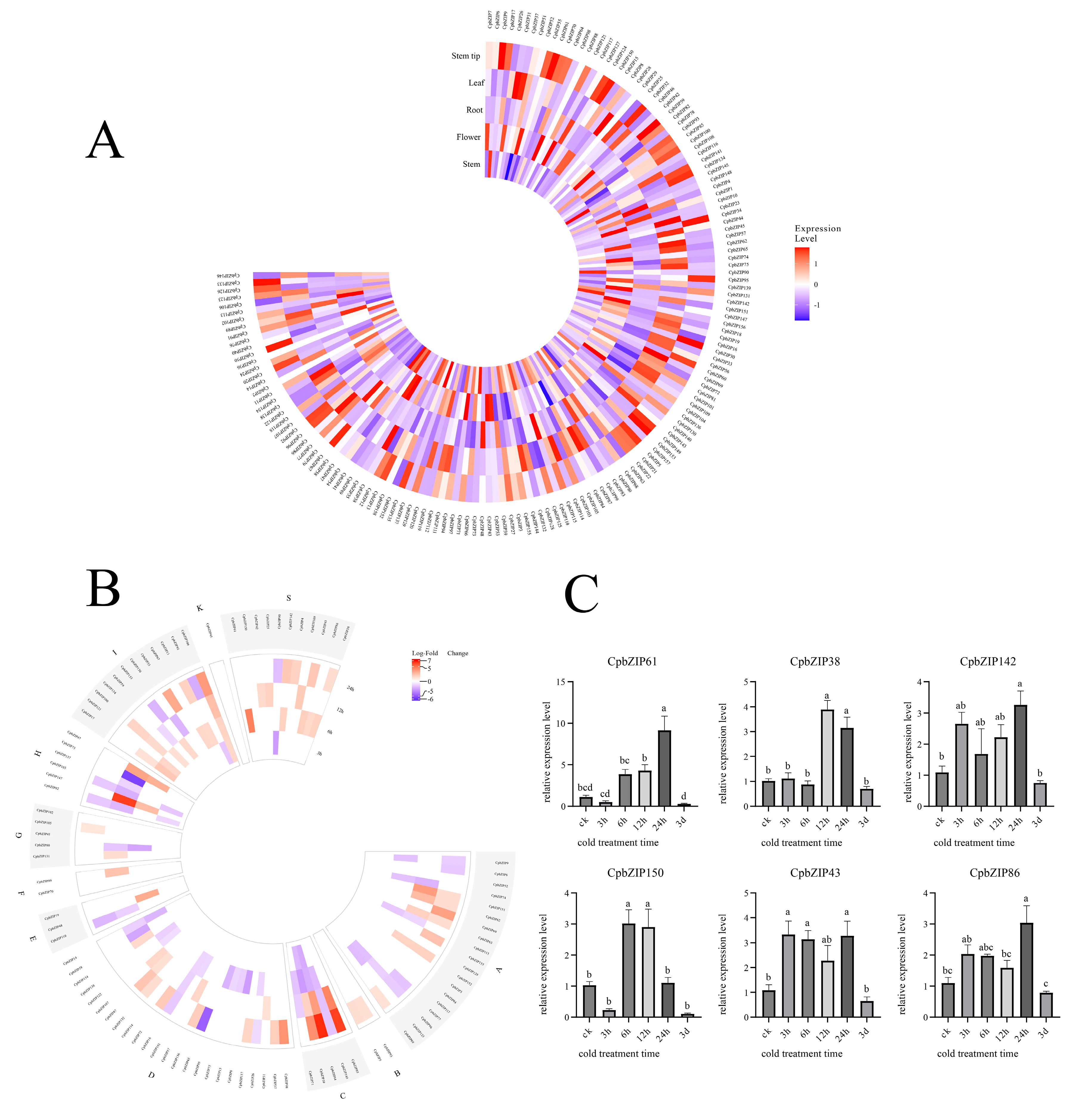 Agronomy 16 00043 g005