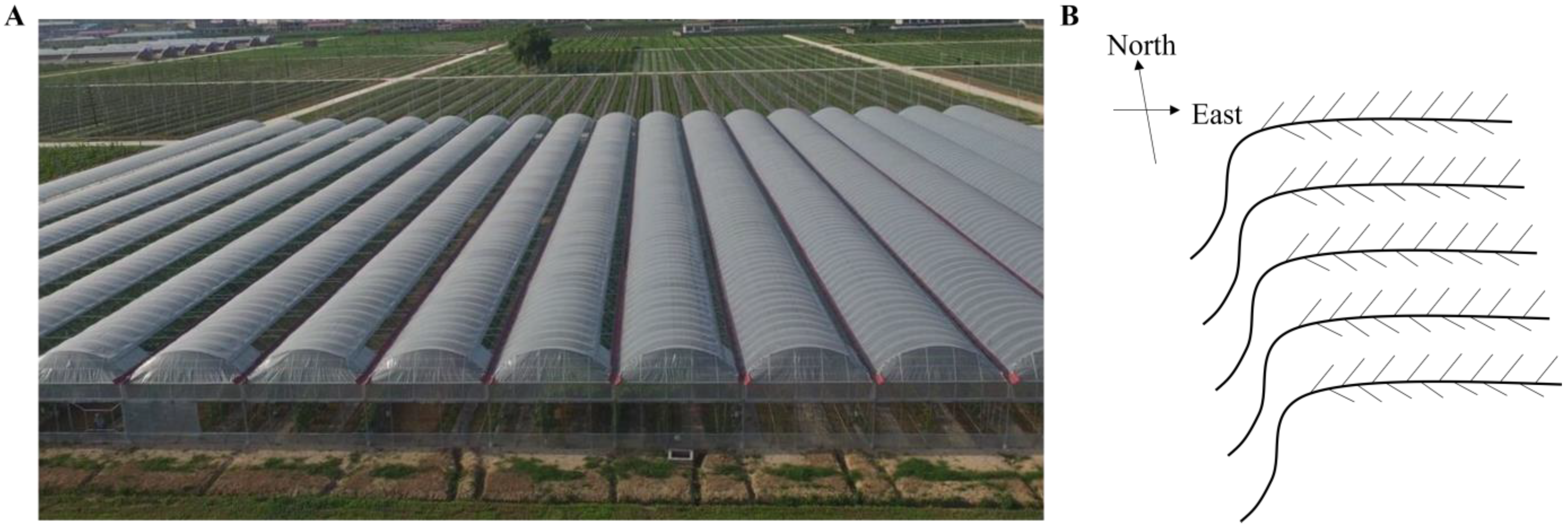 Agronomy 16 00065 g001