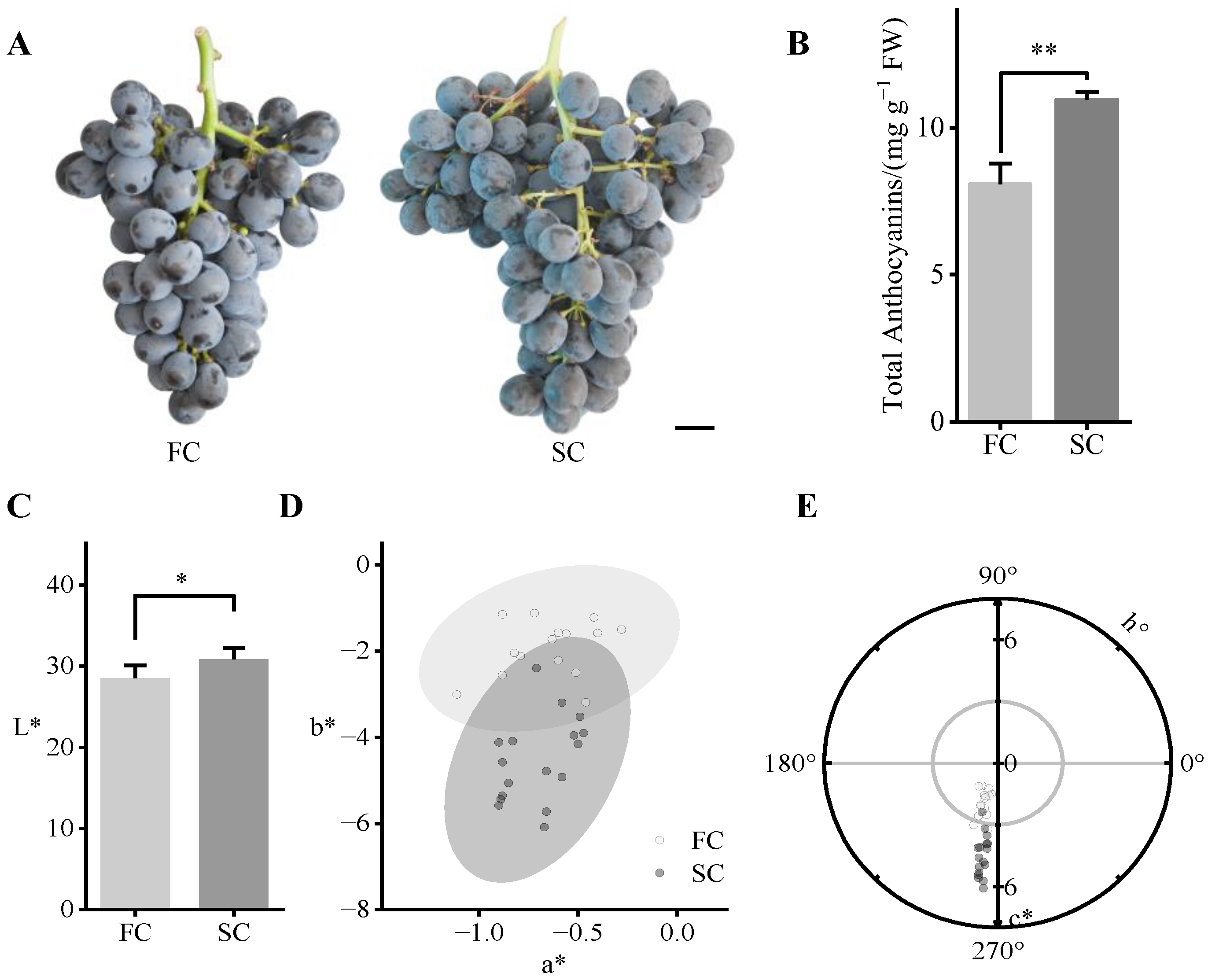 Agronomy 16 00065 g004