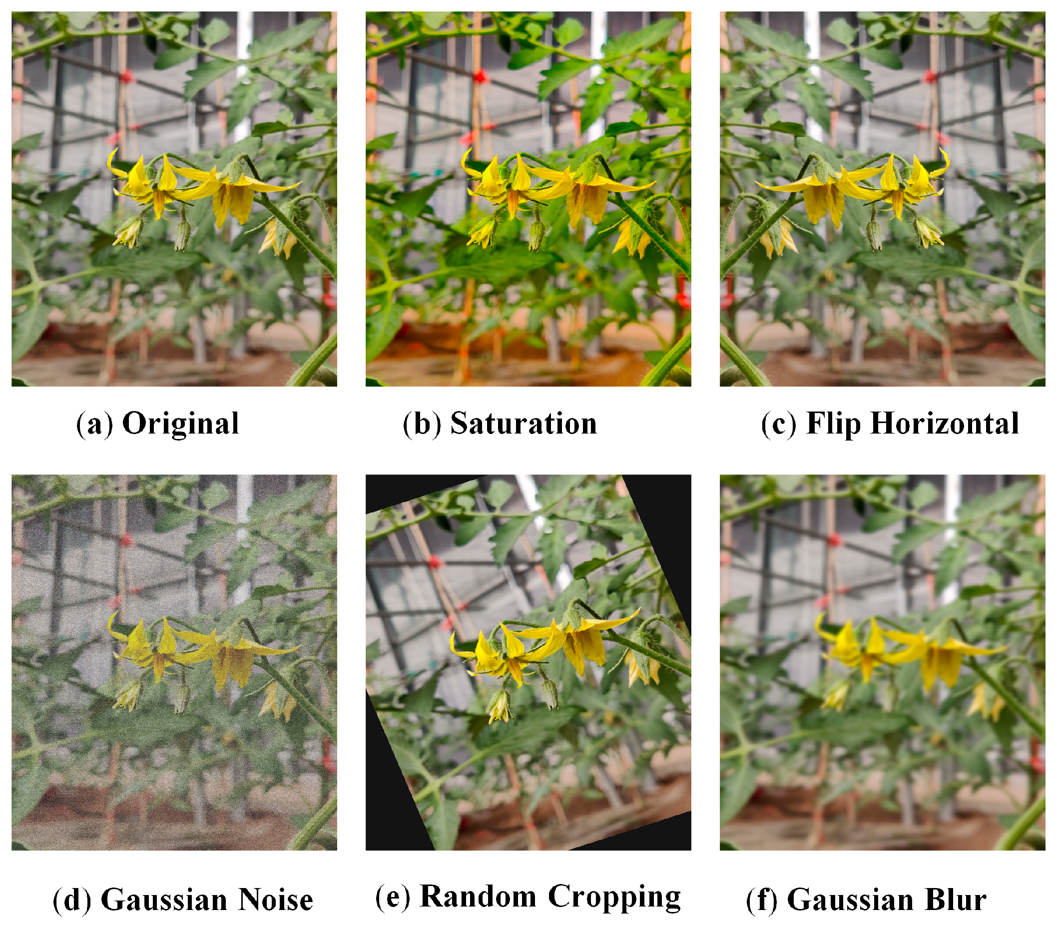 Agronomy 16 00067 g001