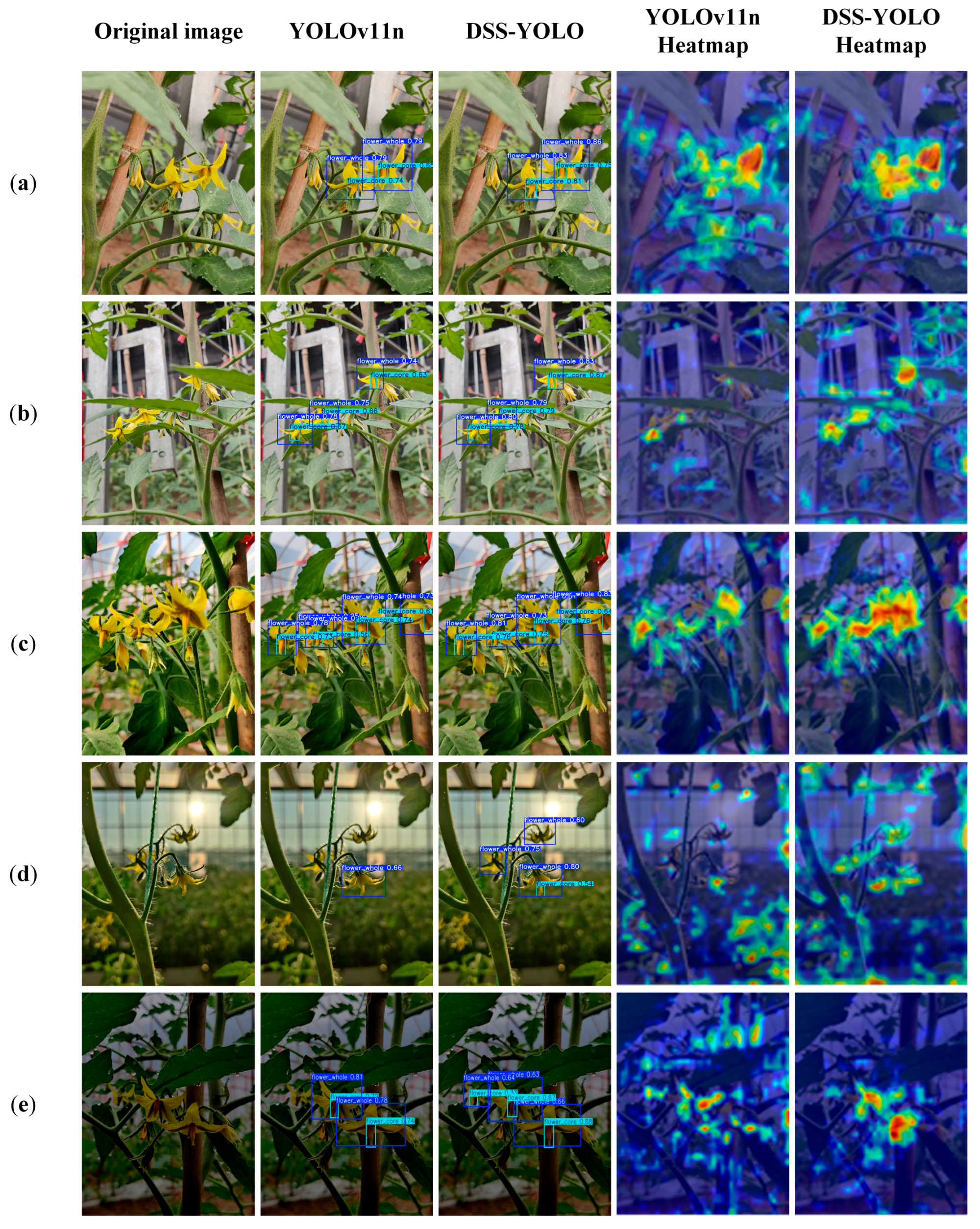 Agronomy 16 00067 g009
