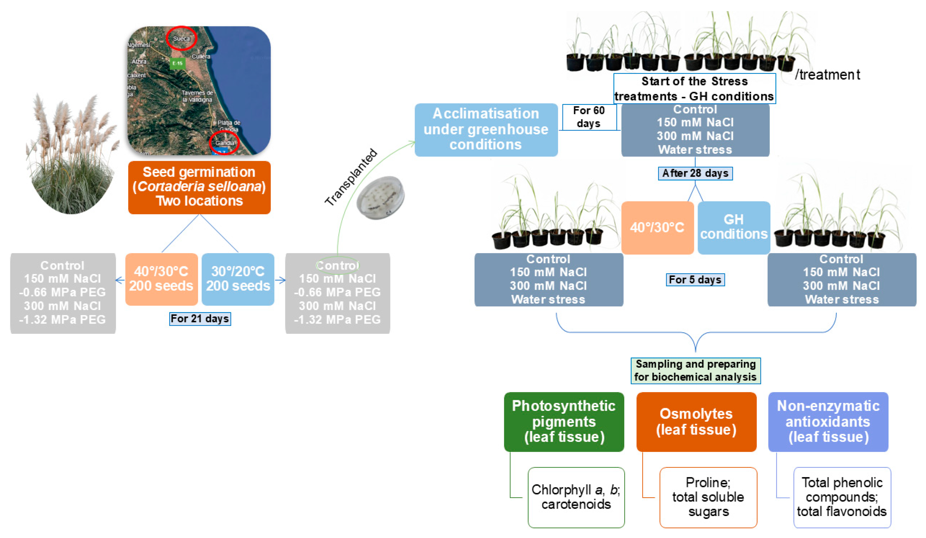 Agronomy 16 00068 g001