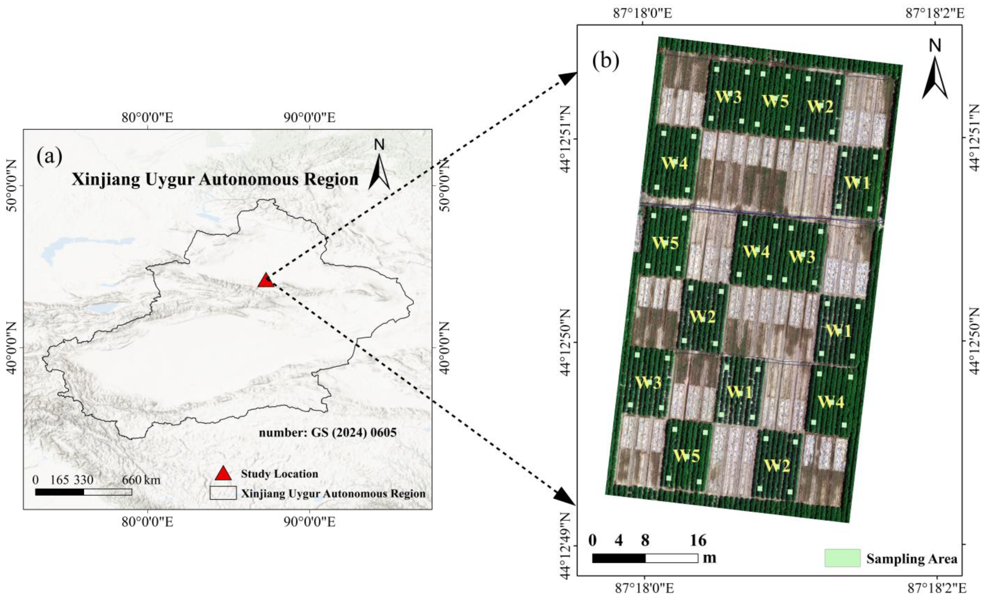 Agronomy 16 00074 g001