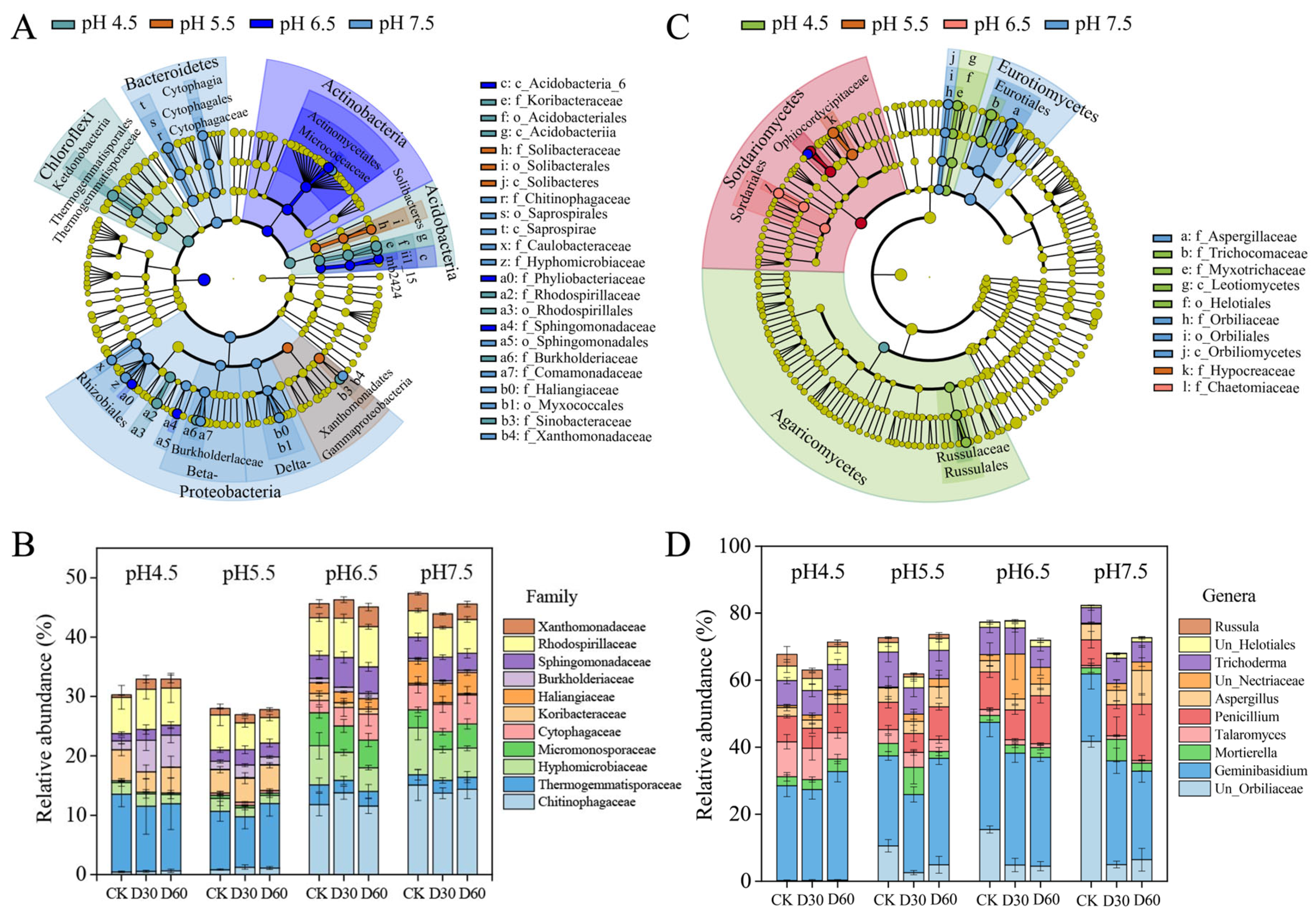Agronomy 16 00077 g004