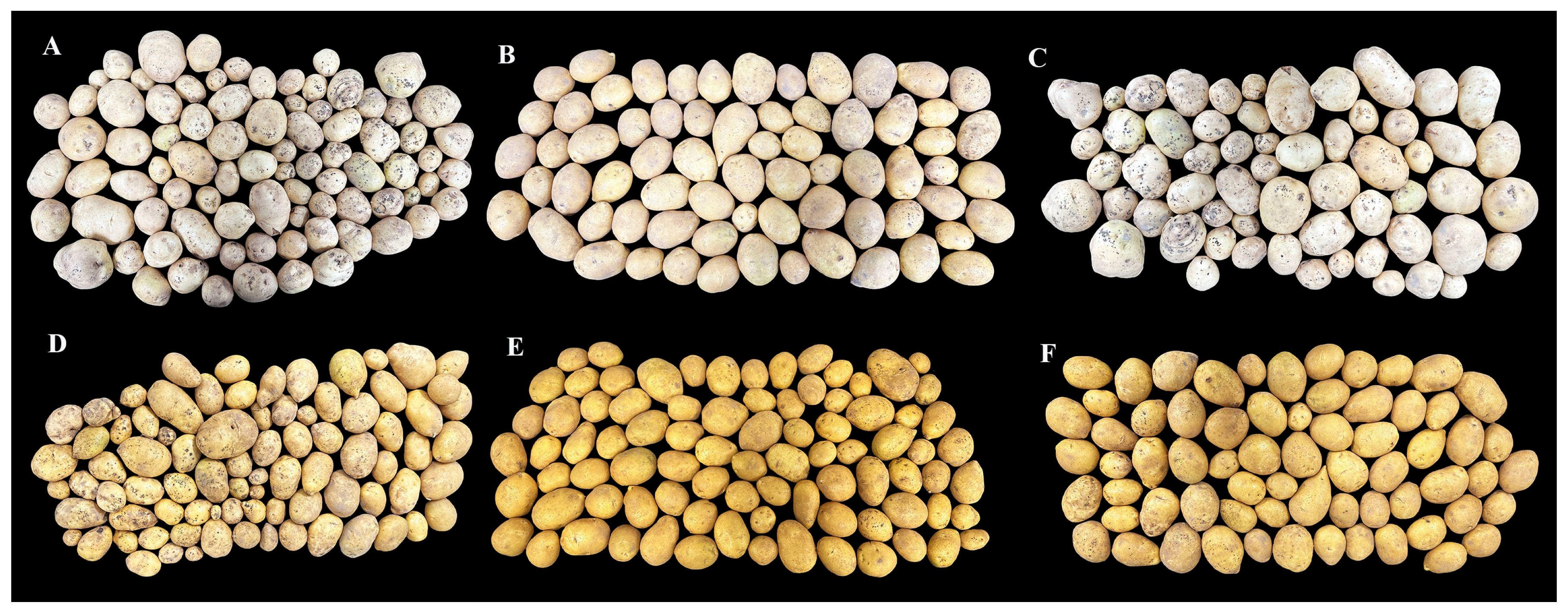 Agronomy 16 00087 g002
