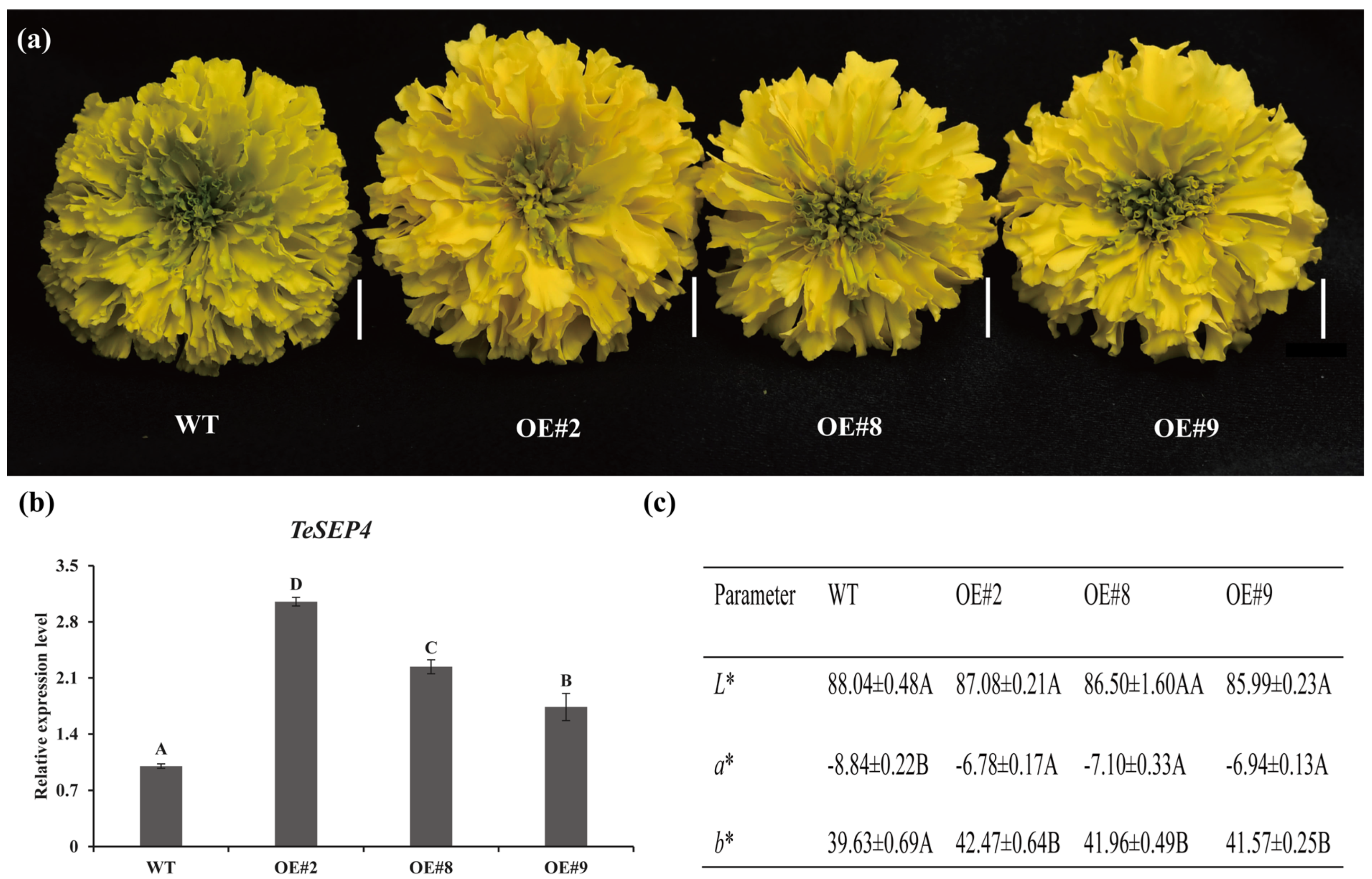 Agronomy 16 00088 g002