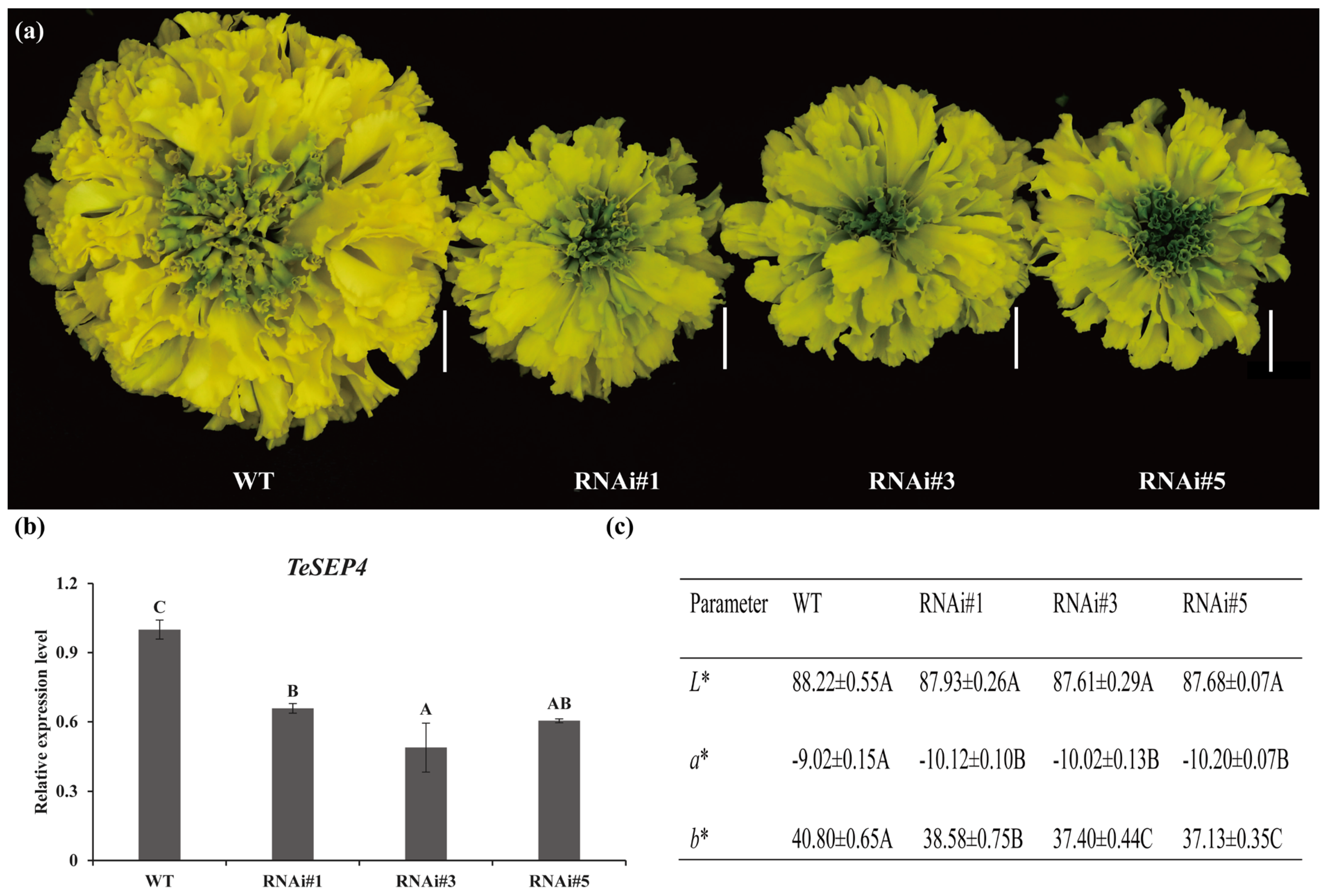 Agronomy 16 00088 g003