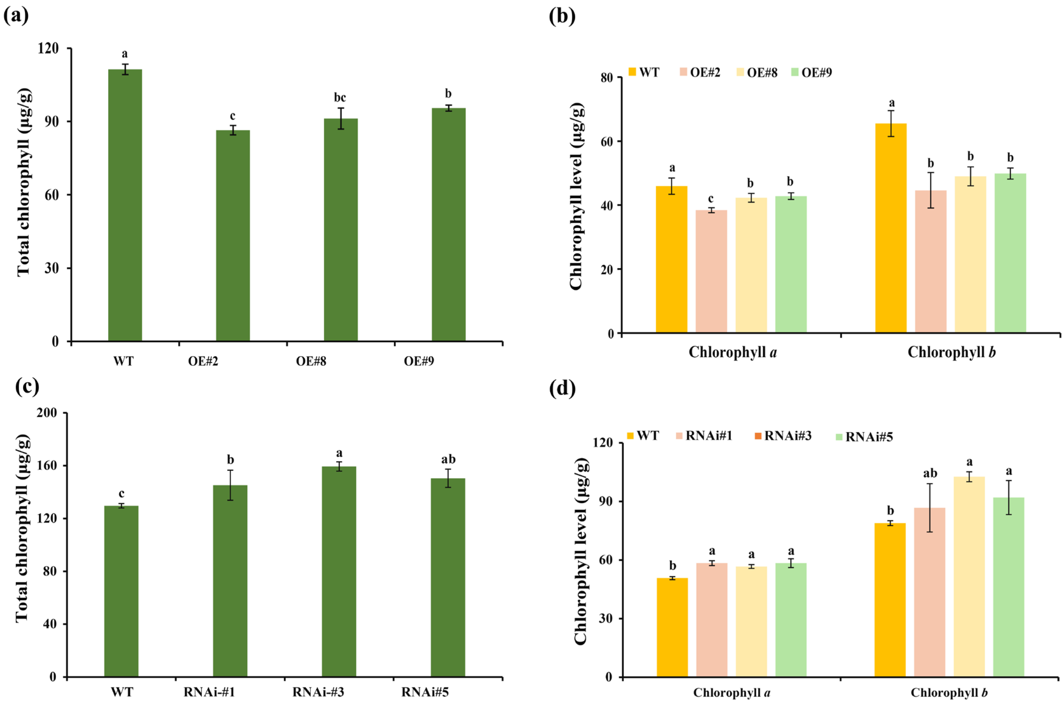 Agronomy 16 00088 g004
