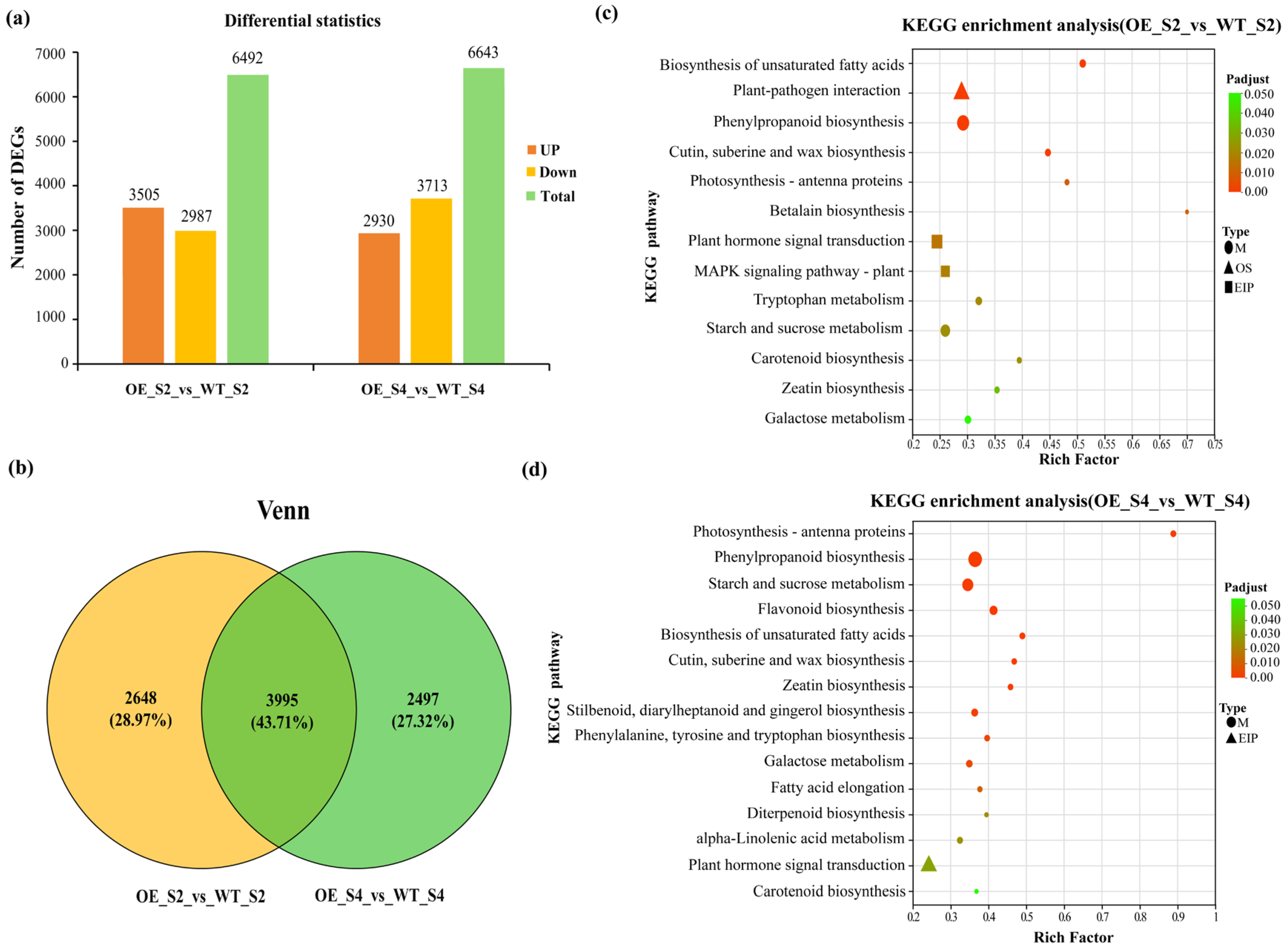 Agronomy 16 00088 g006