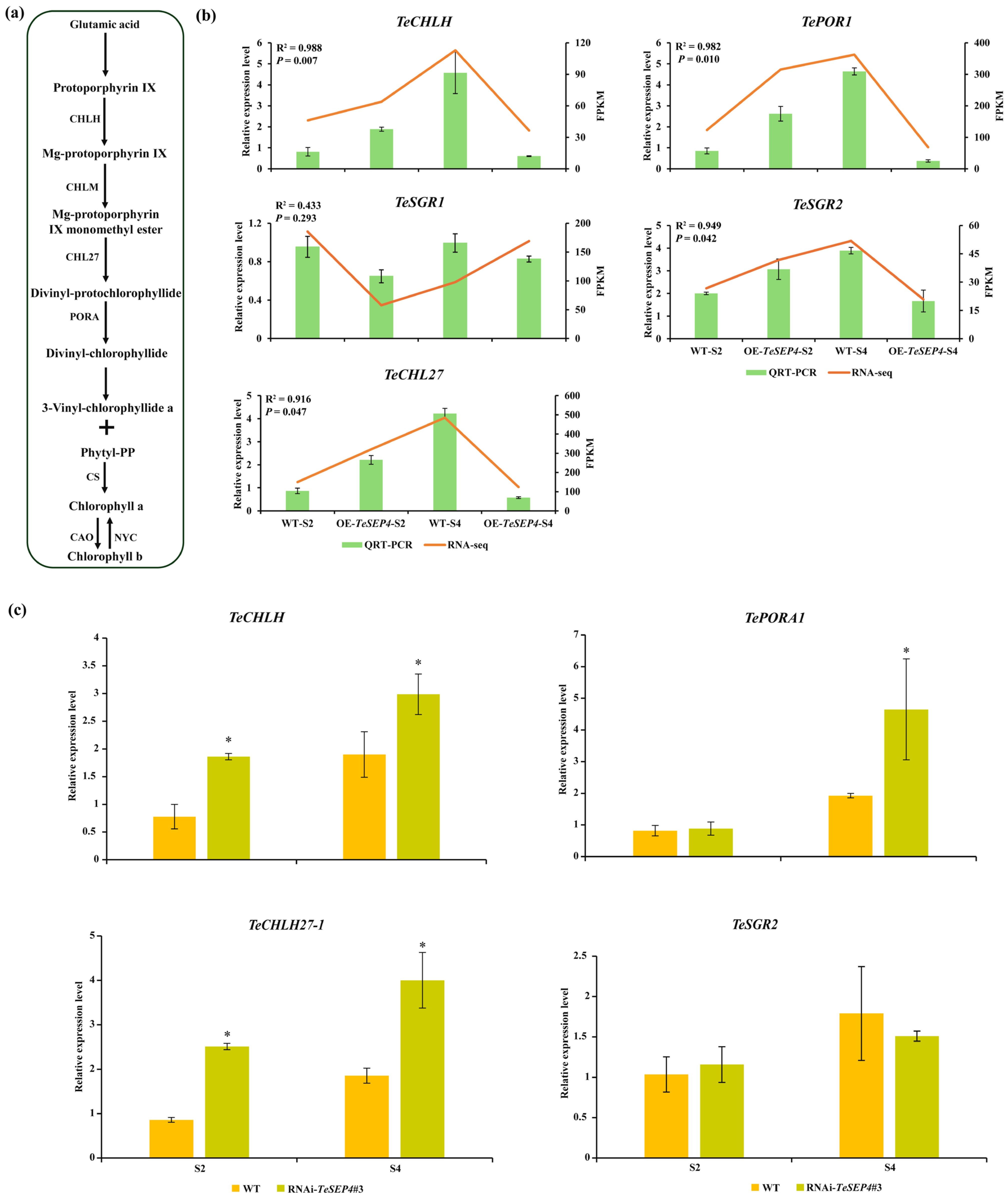 Agronomy 16 00088 g007