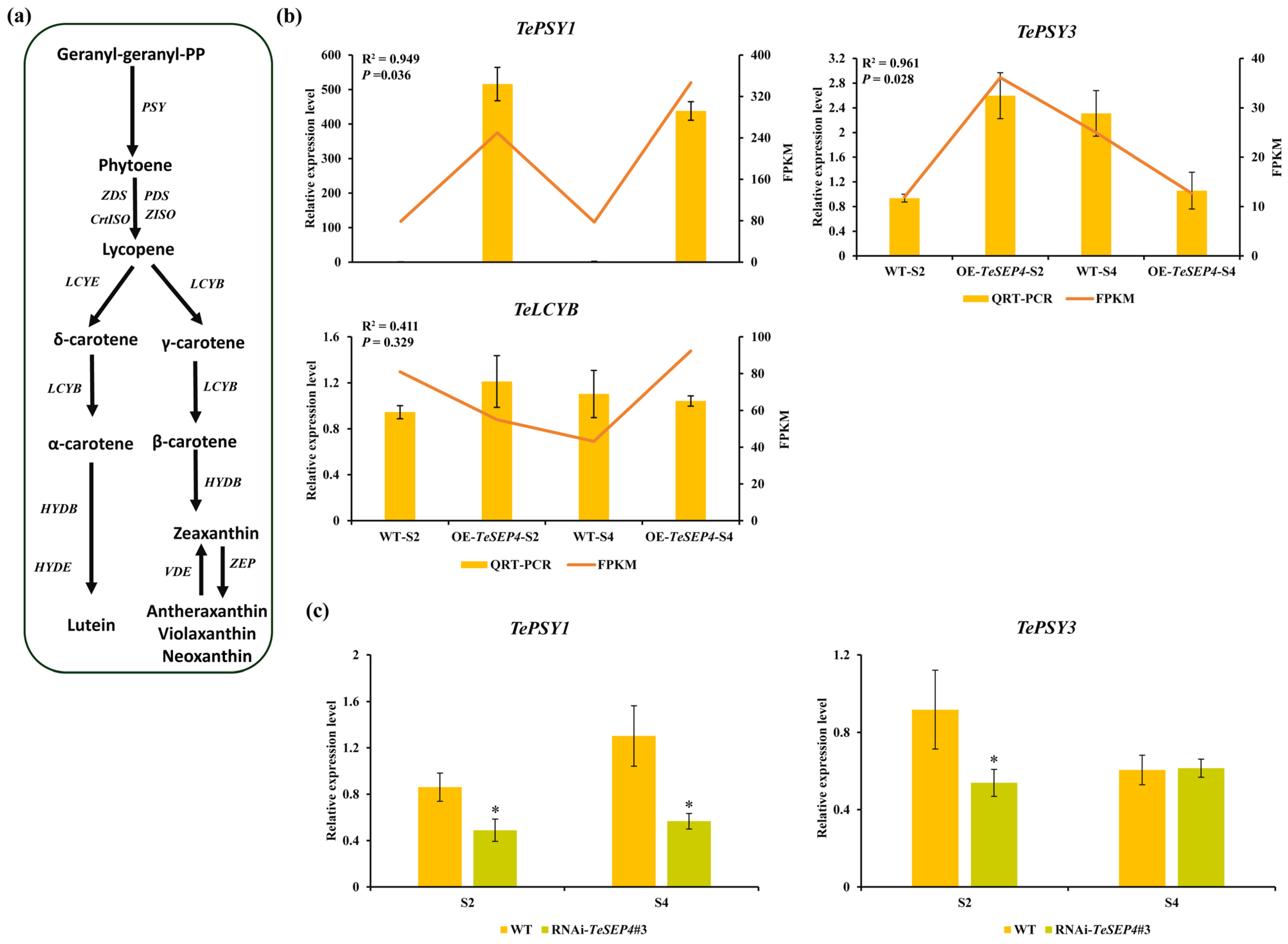 Agronomy 16 00088 g008