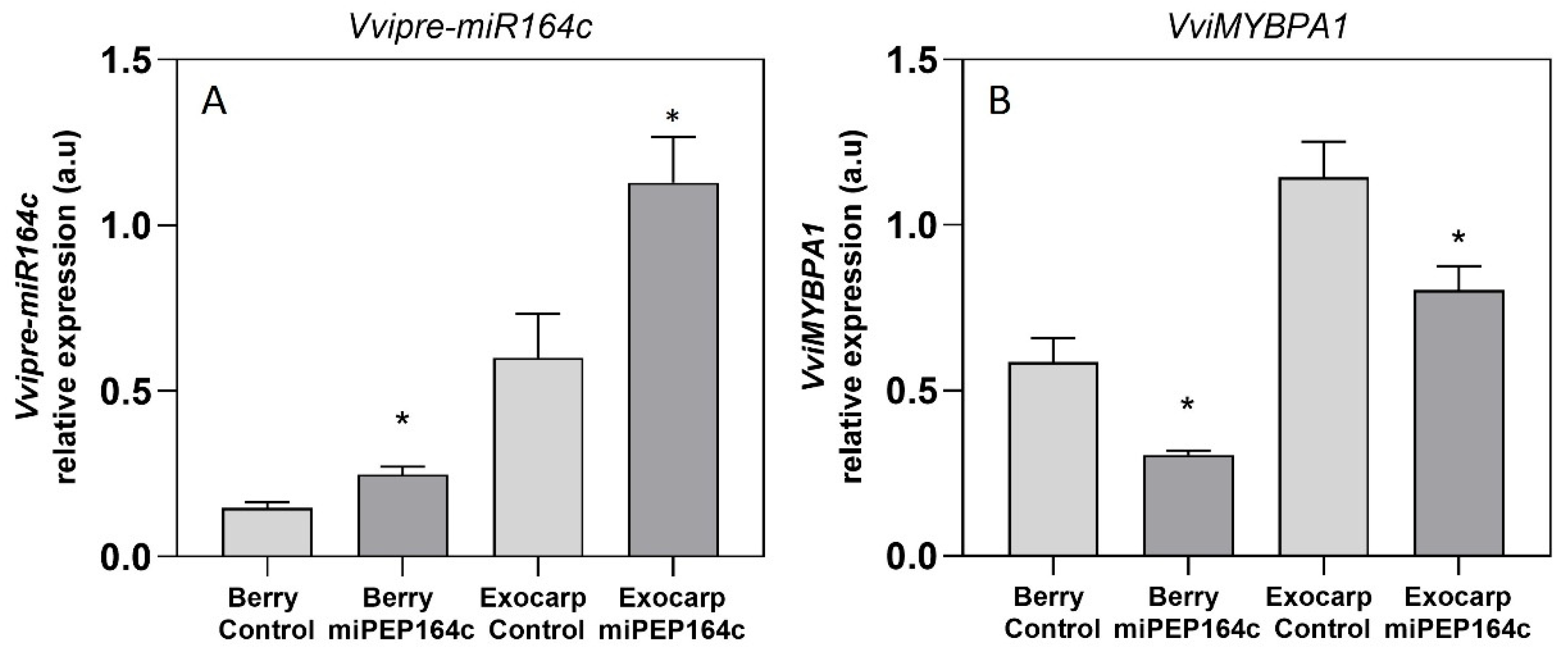 Agronomy 16 00097 g001