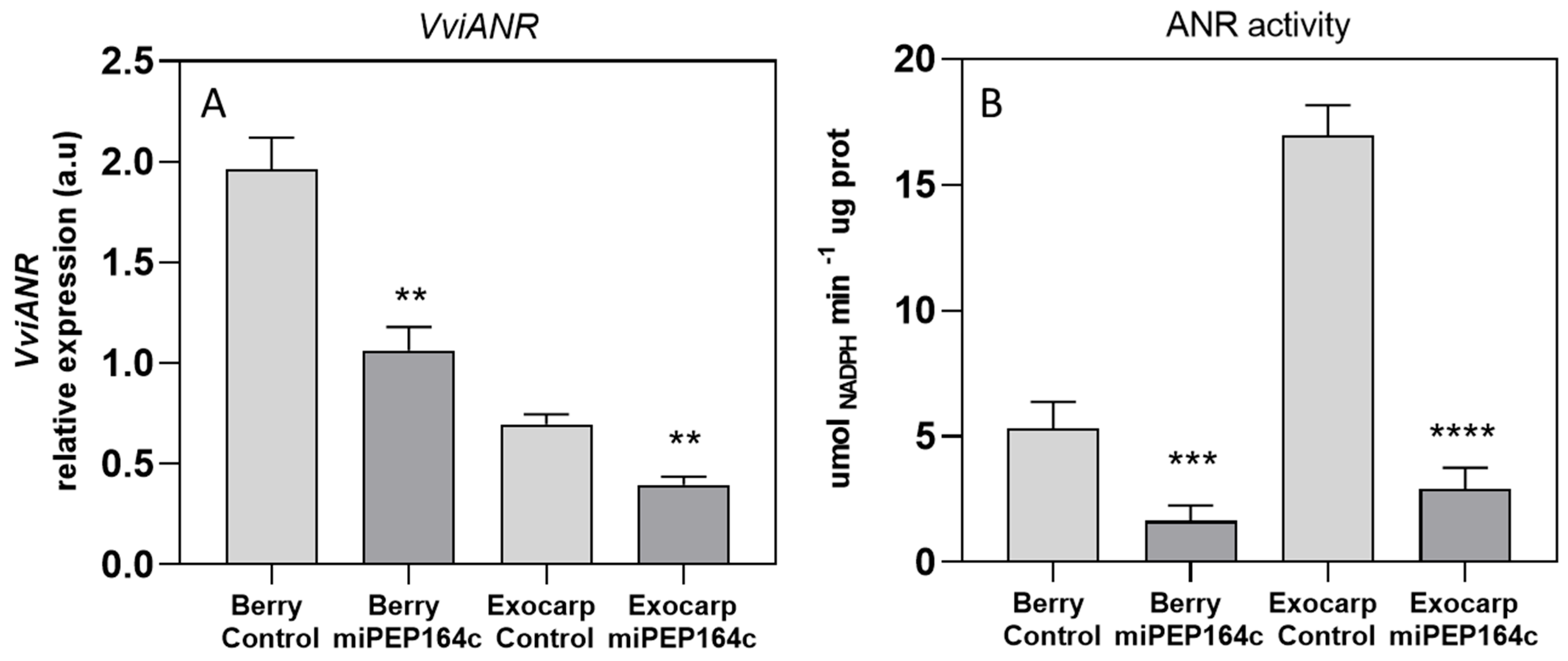 Agronomy 16 00097 g003