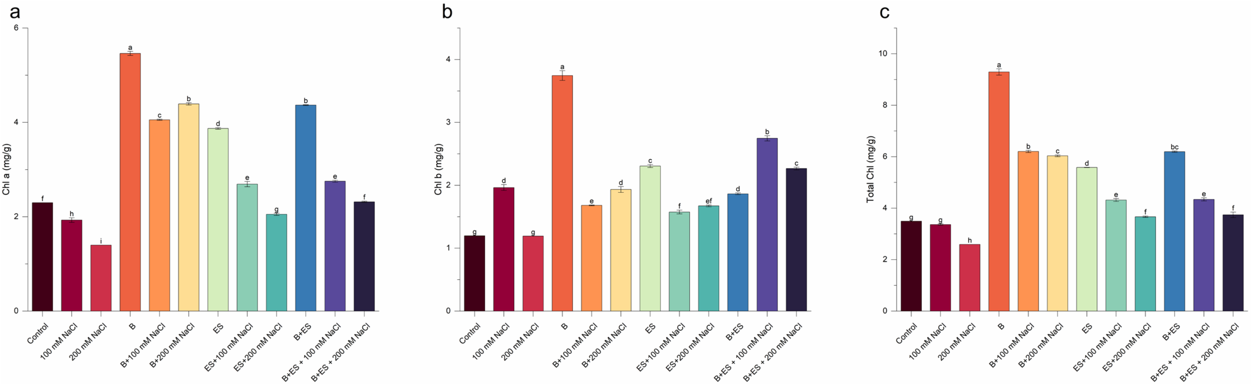 Agronomy 16 00100 g003