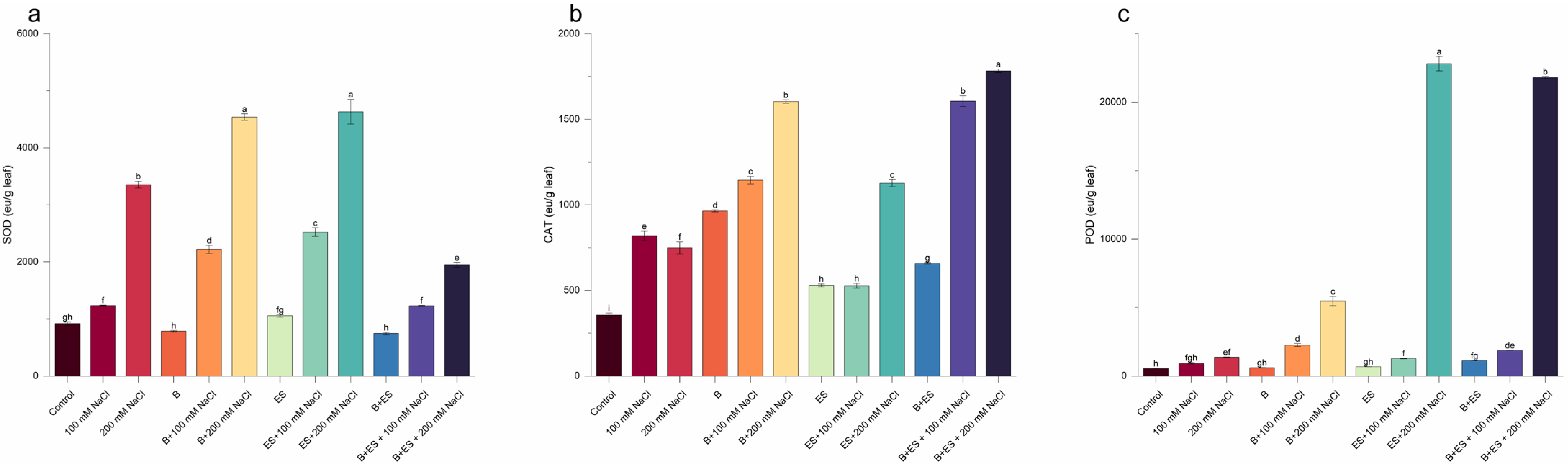 Agronomy 16 00100 g005