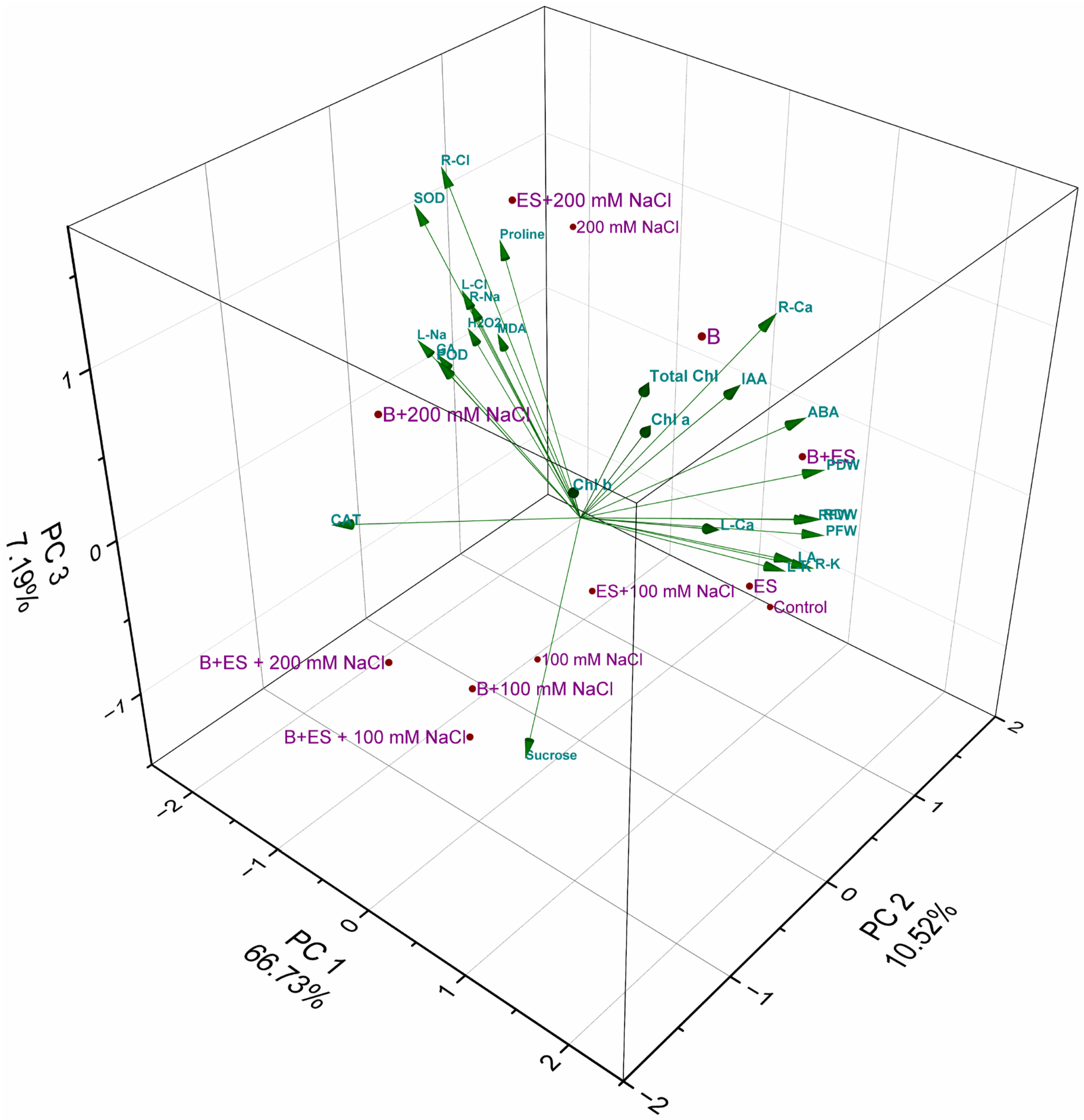 Agronomy 16 00100 g011