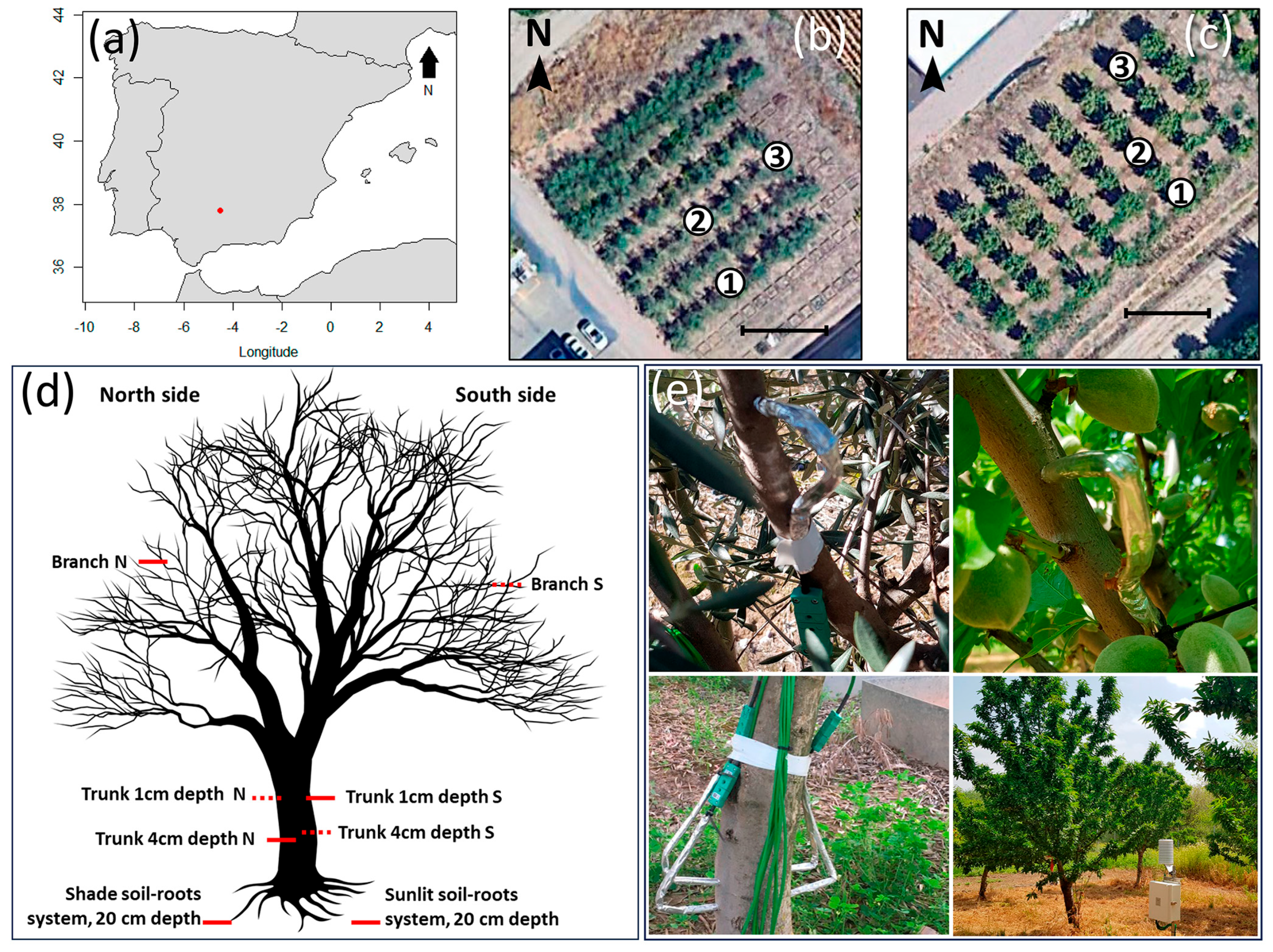 Agronomy 16 00102 g001 Agronomy 16 00102 g001