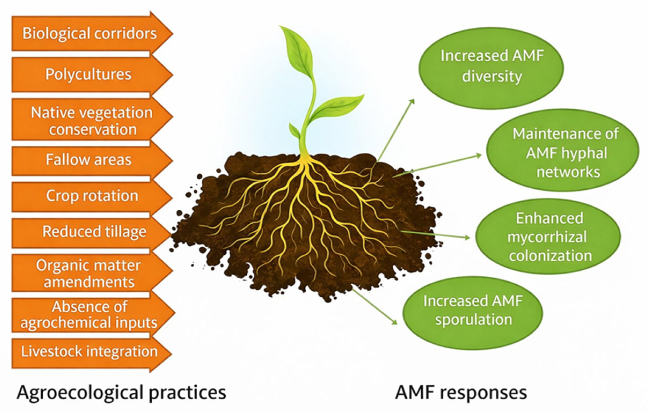 Agronomy 16 00103 g001