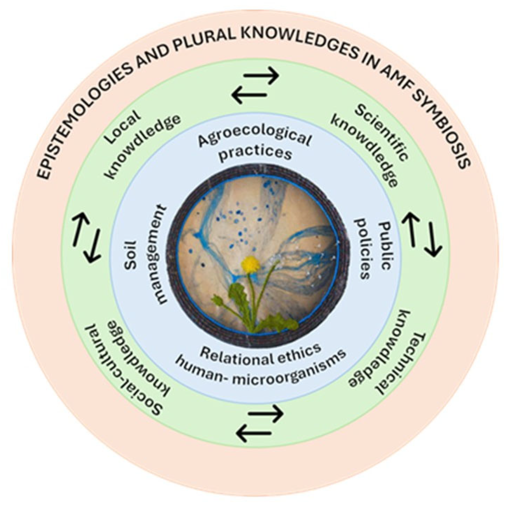 Agronomy 16 00103 g002