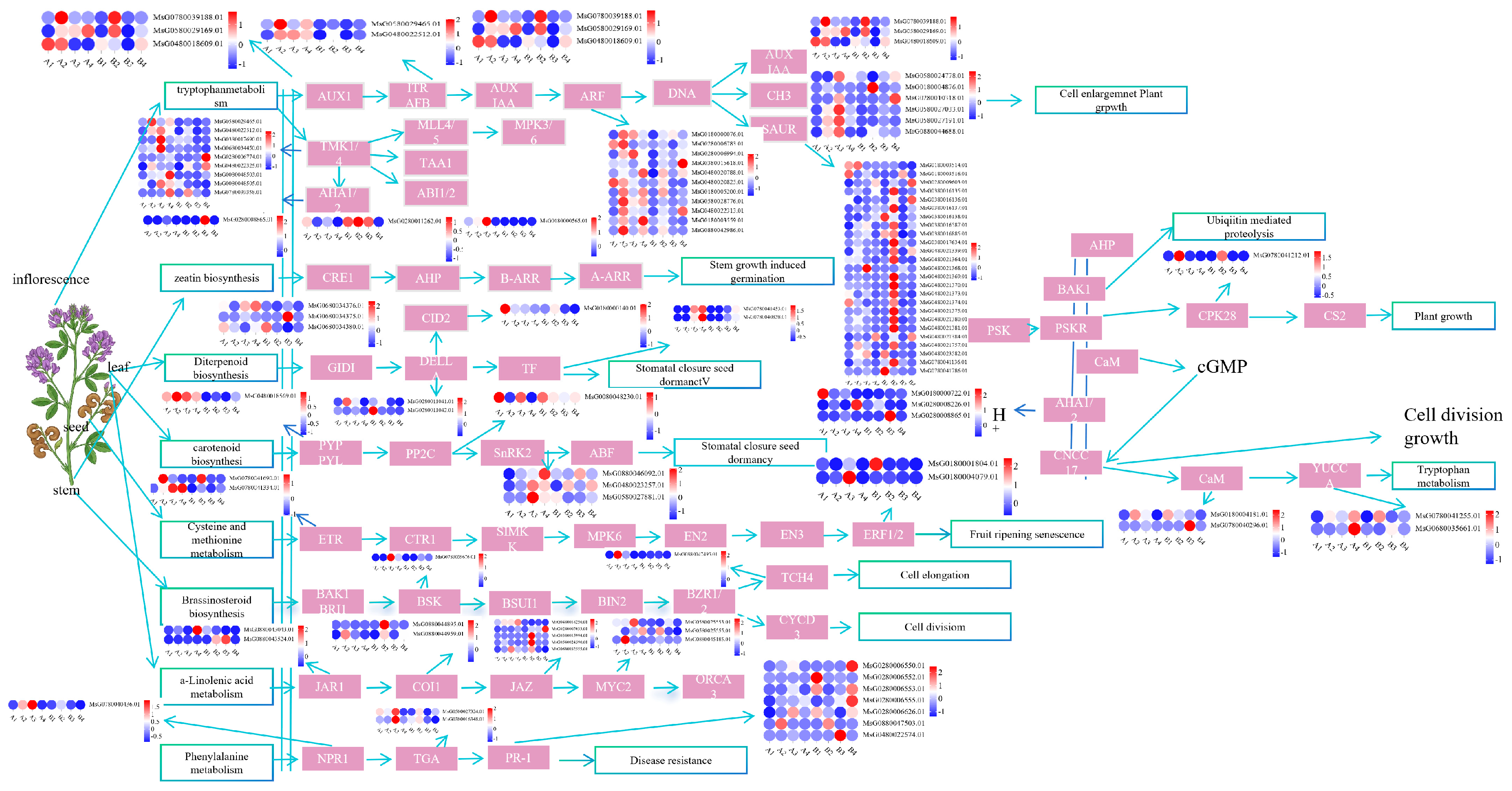 Agronomy 16 00108 g007 Agronomy 16 00108 g007