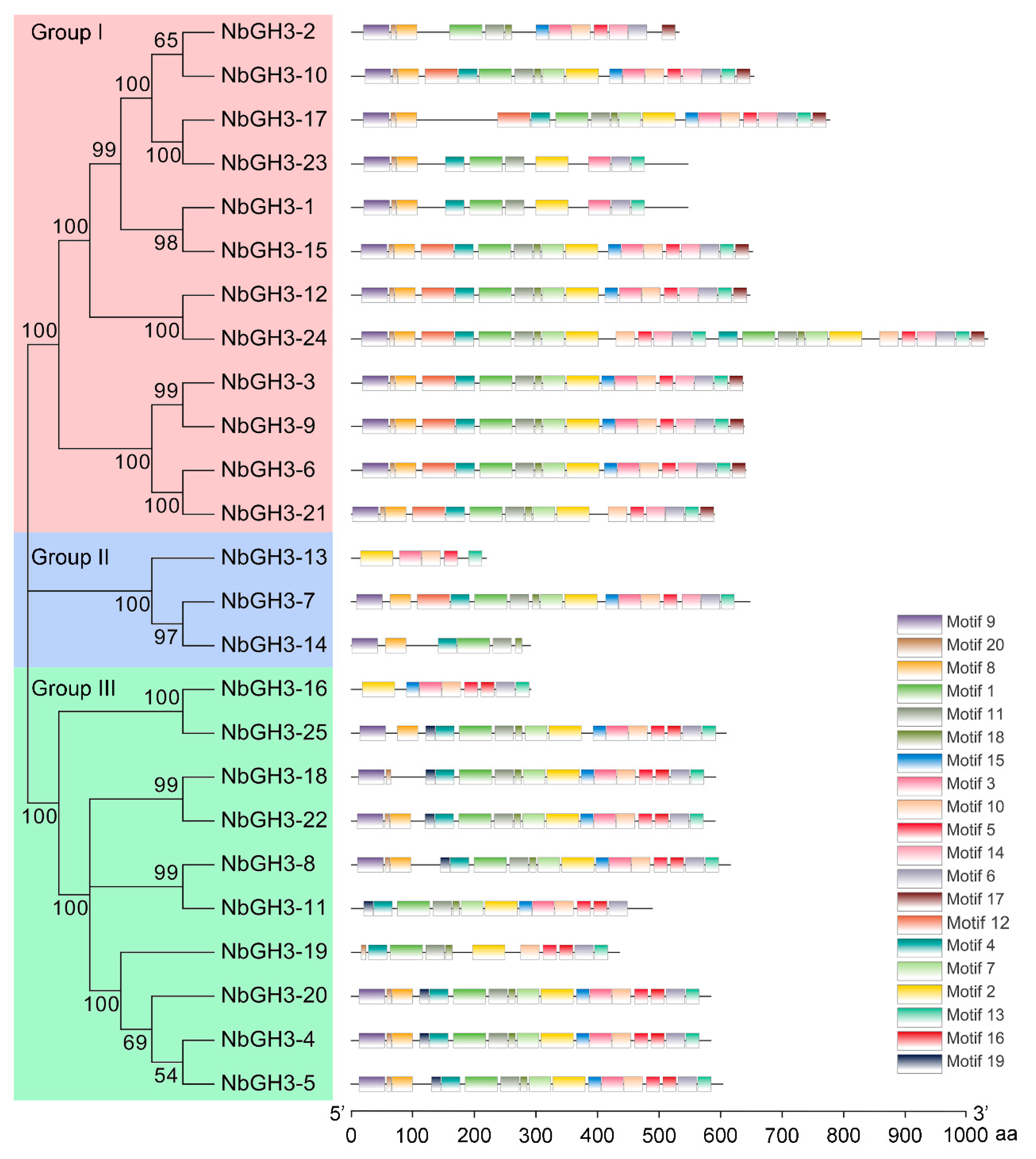 Agronomy 16 00115 g002 Agronomy 16 00115 g002