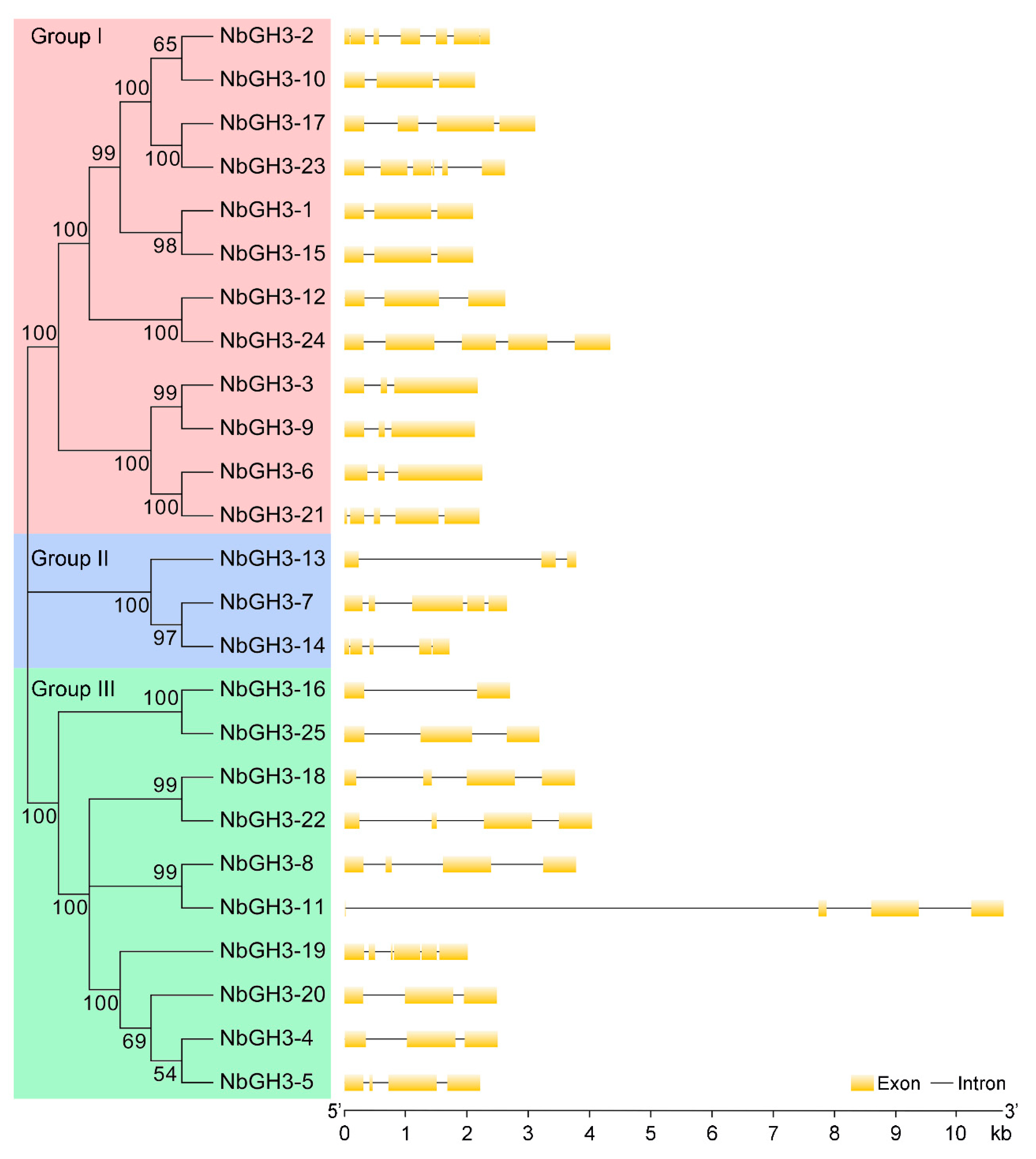Agronomy 16 00115 g003 Agronomy 16 00115 g003