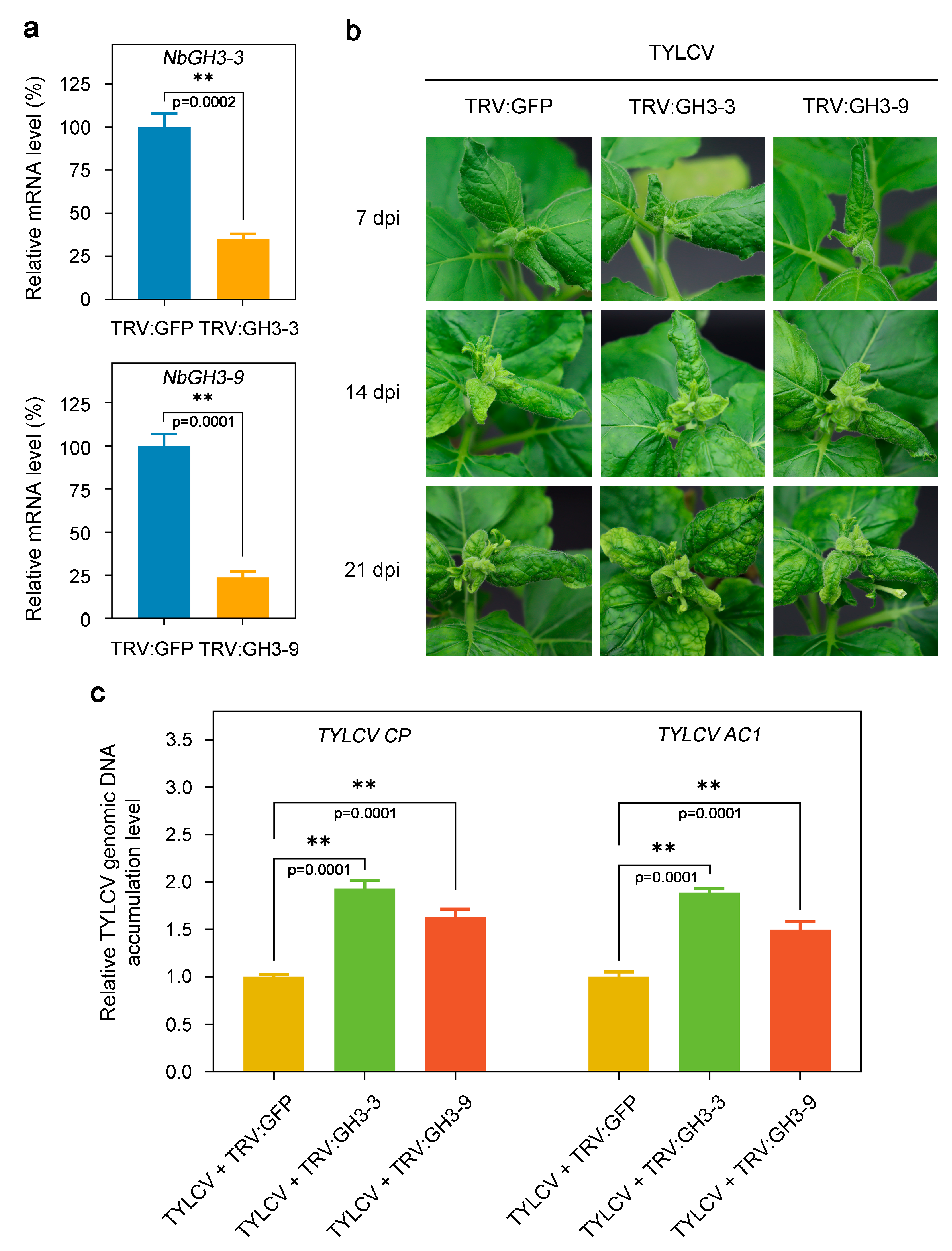 Agronomy 16 00115 g008 Agronomy 16 00115 g008