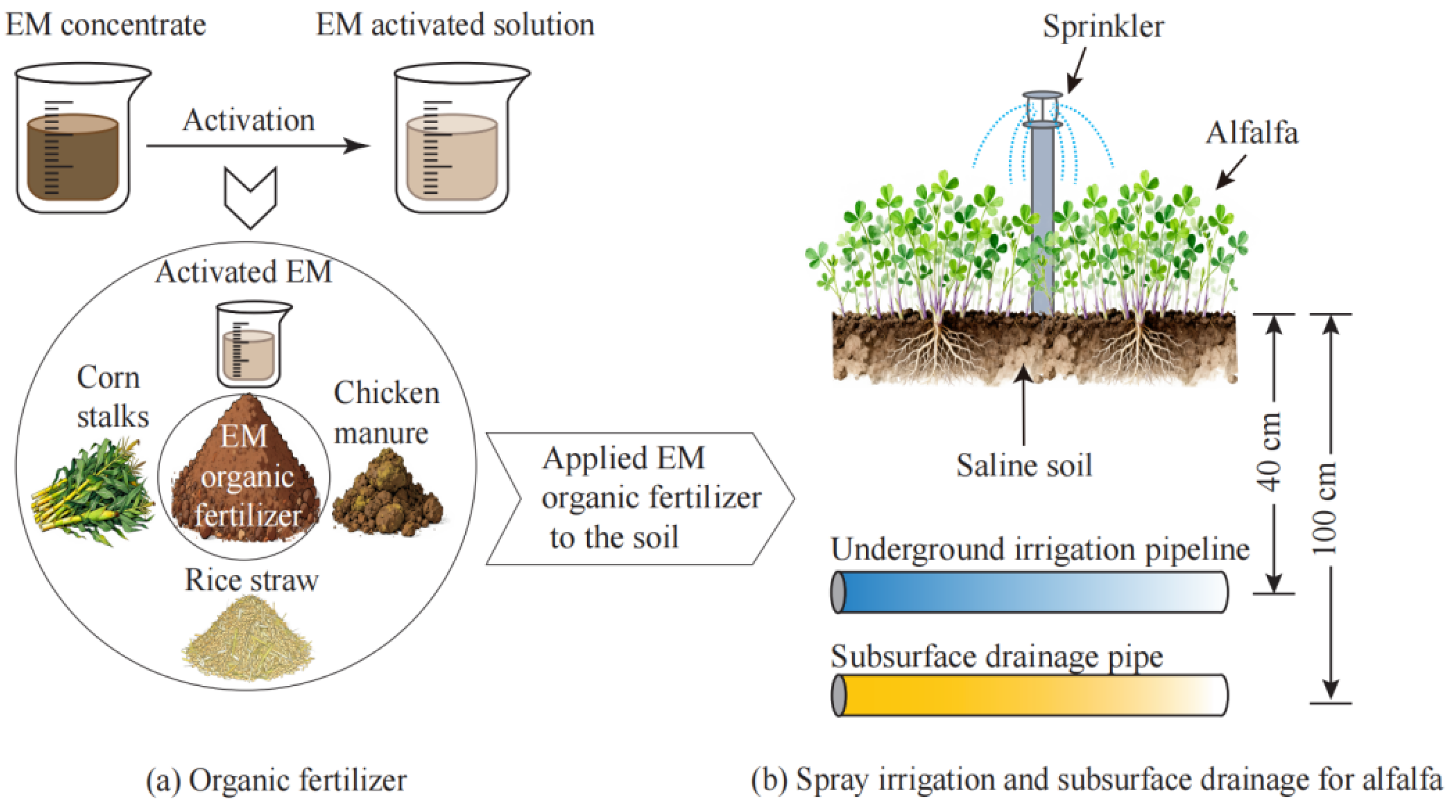Agronomy 16 00117 g002a