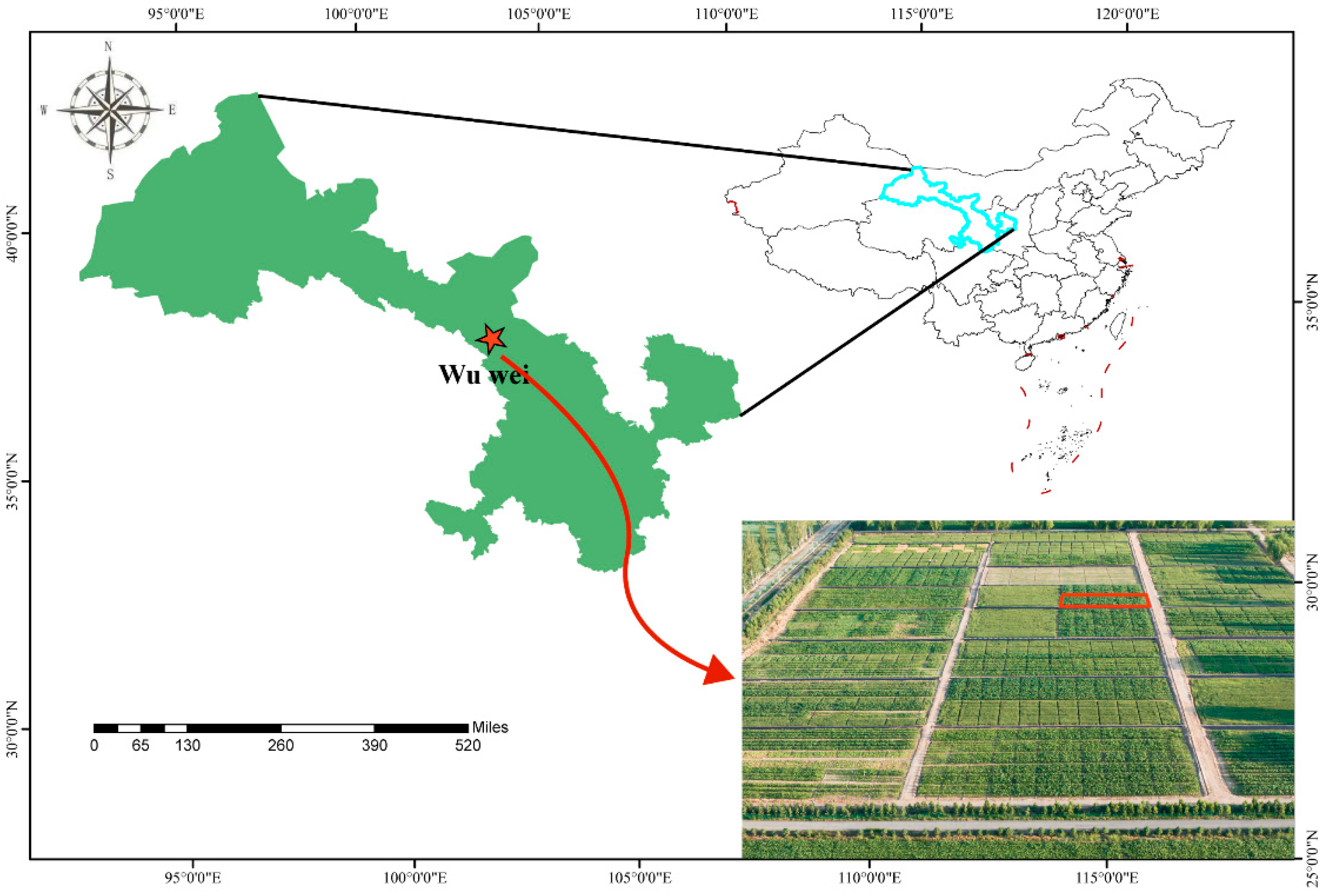 Agronomy 16 00120 g001
