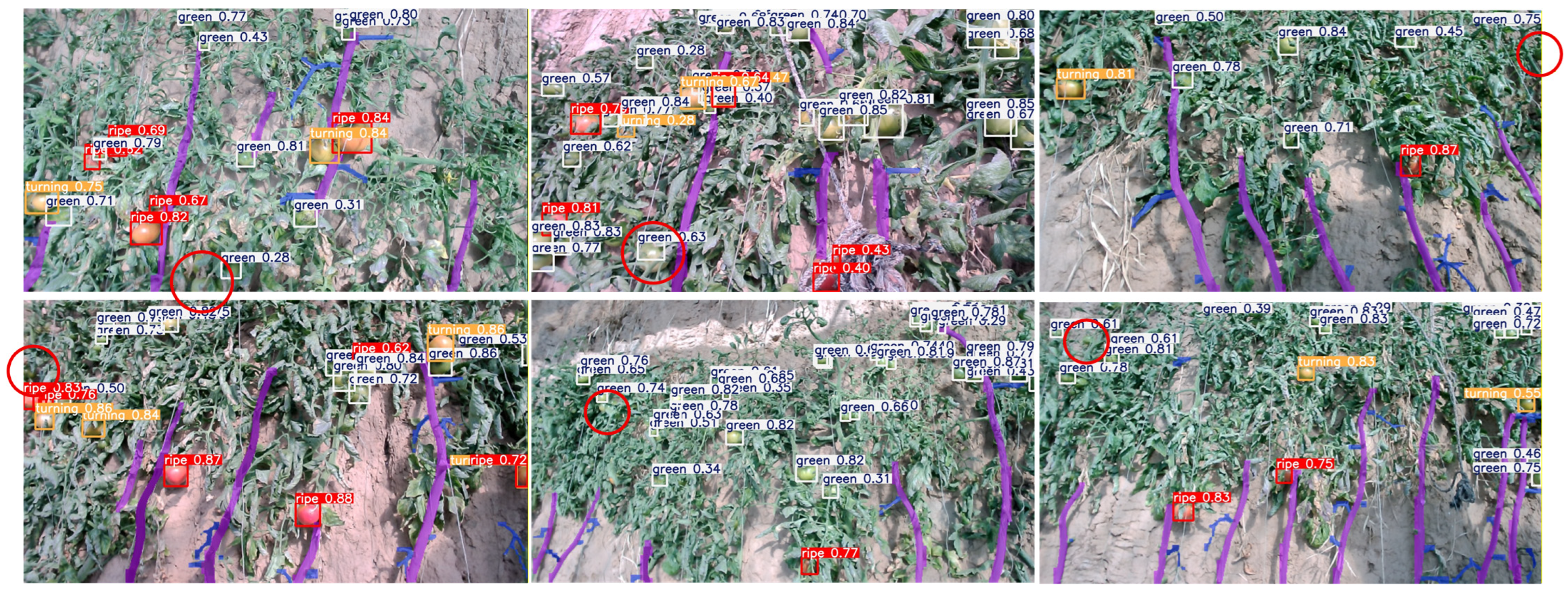 Agronomy 16 00150 g014