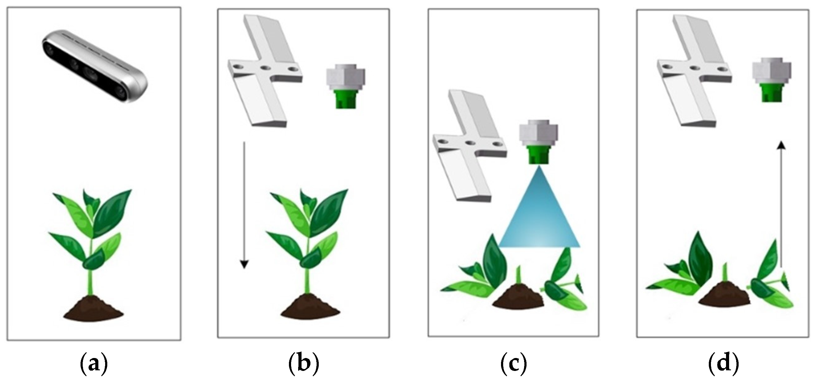 Agronomy 16 00151 g001