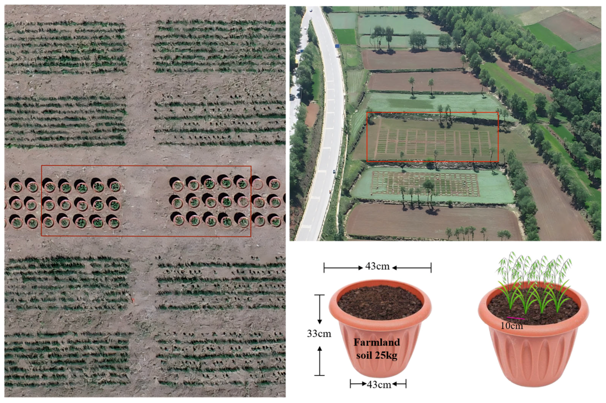 Agronomy 16 00184 g001 Agronomy 16 00184 g001