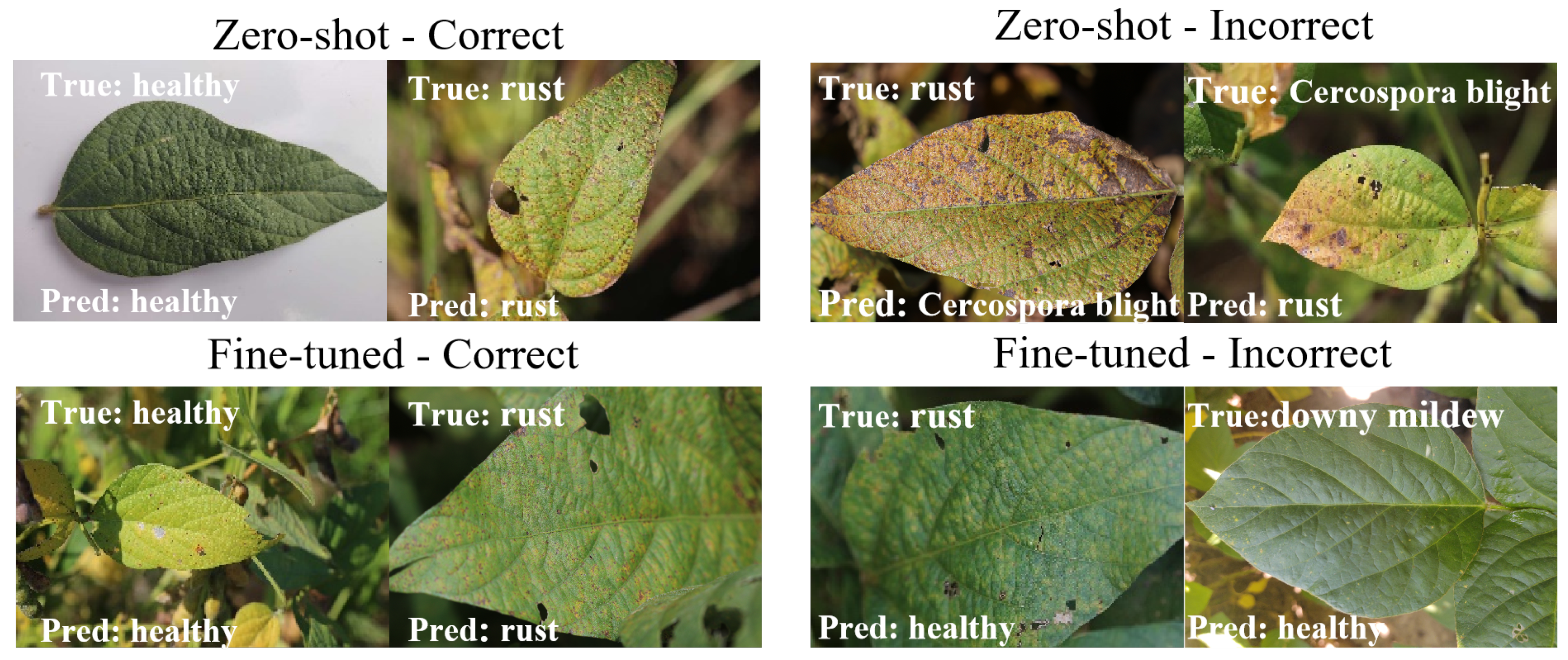 Agronomy 16 00218 g008