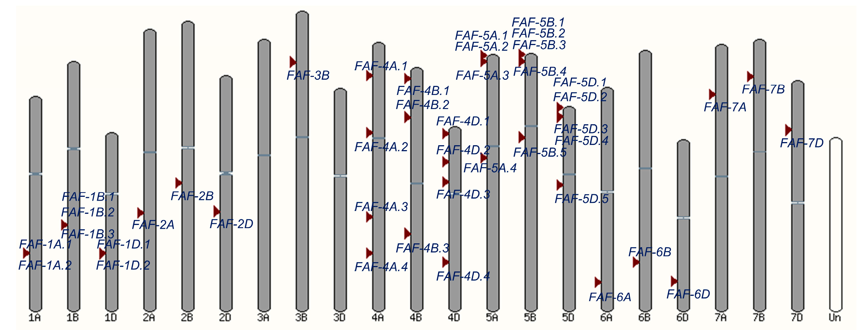Agronomy 16 00221 g001