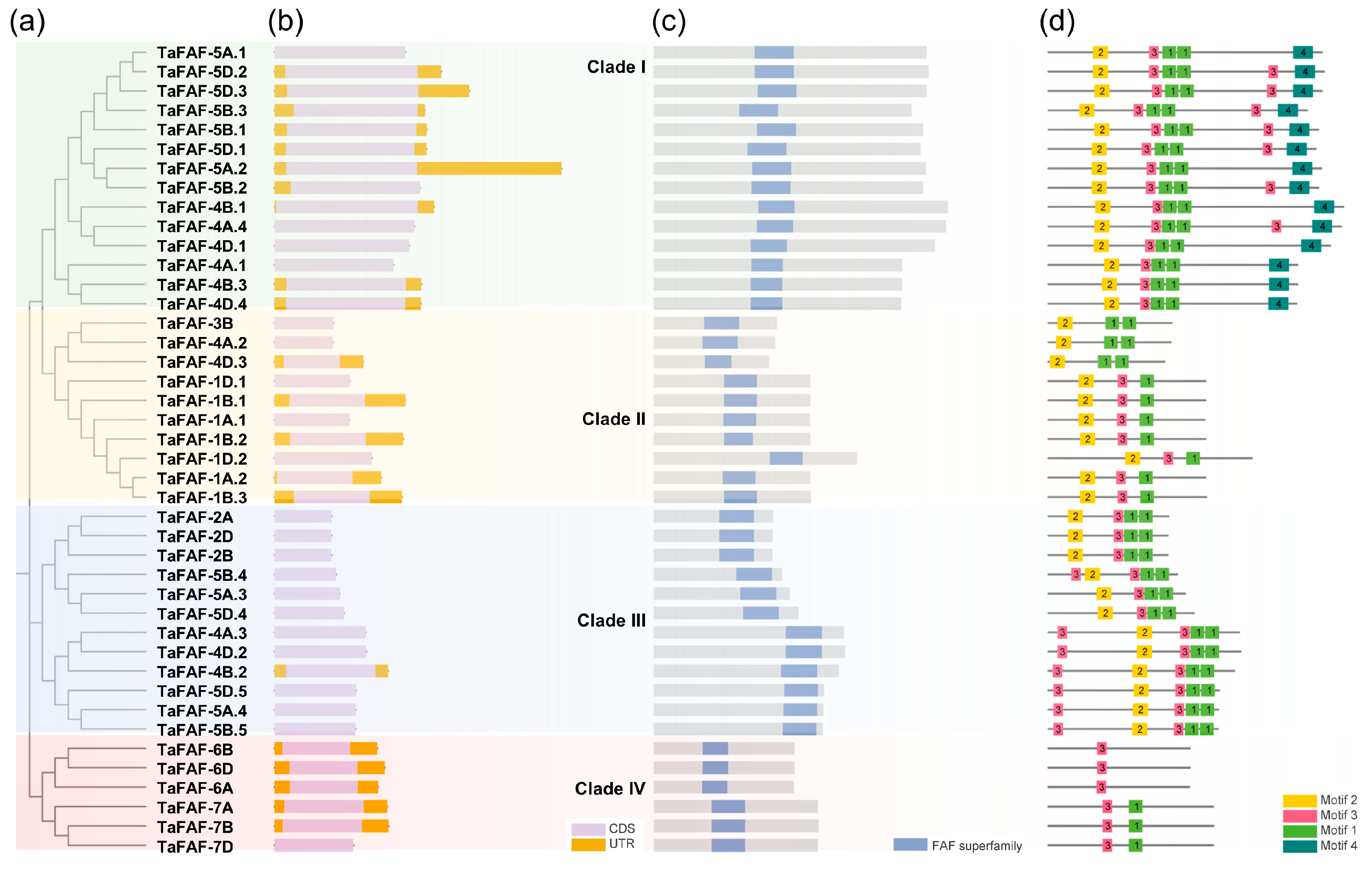 Agronomy 16 00221 g002