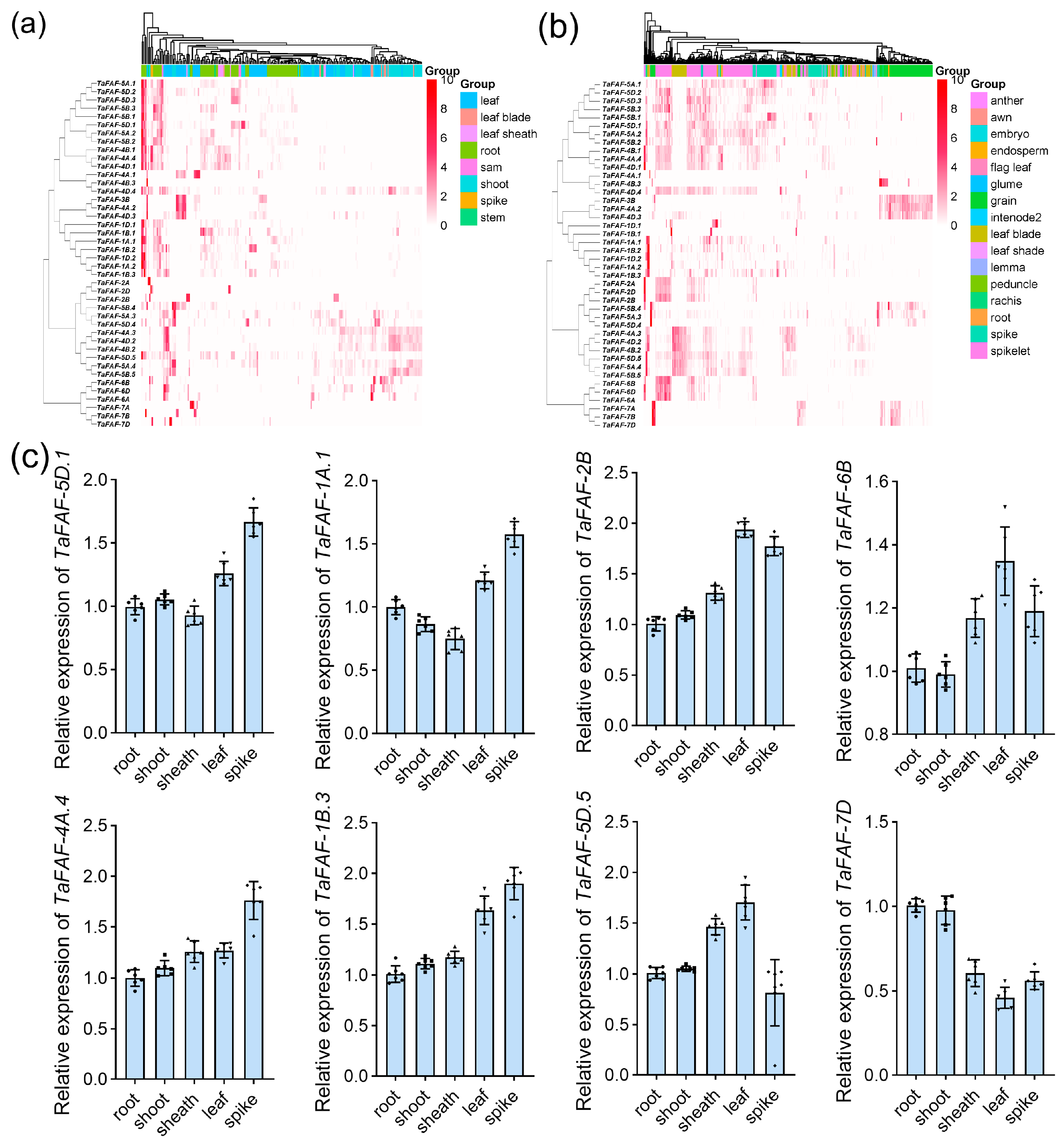 Agronomy 16 00221 g004