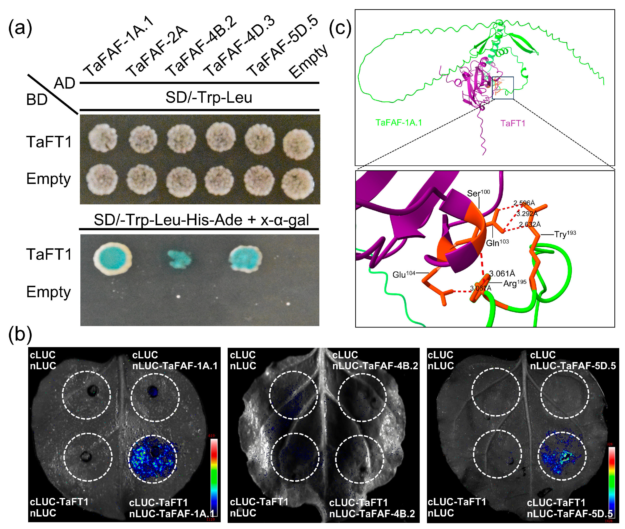 Agronomy 16 00221 g007