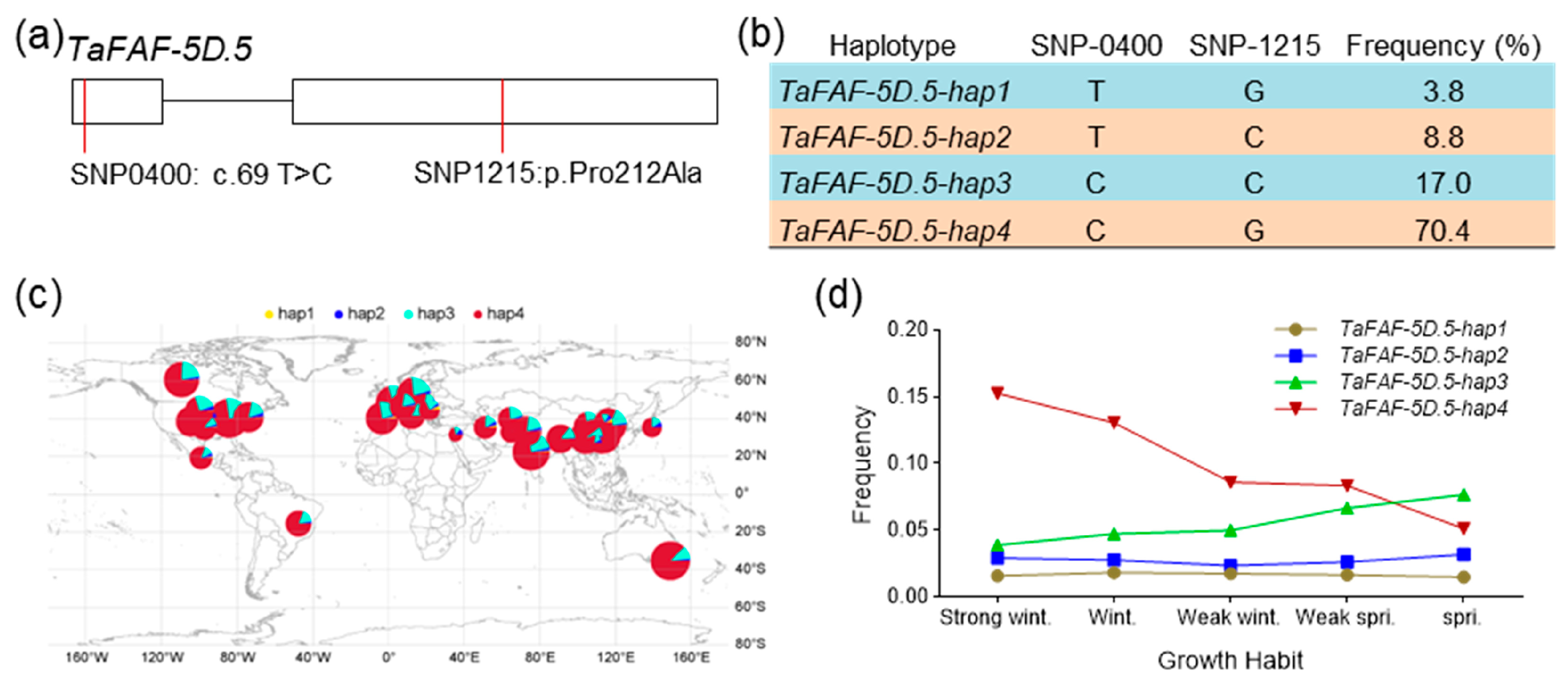 Agronomy 16 00221 g008