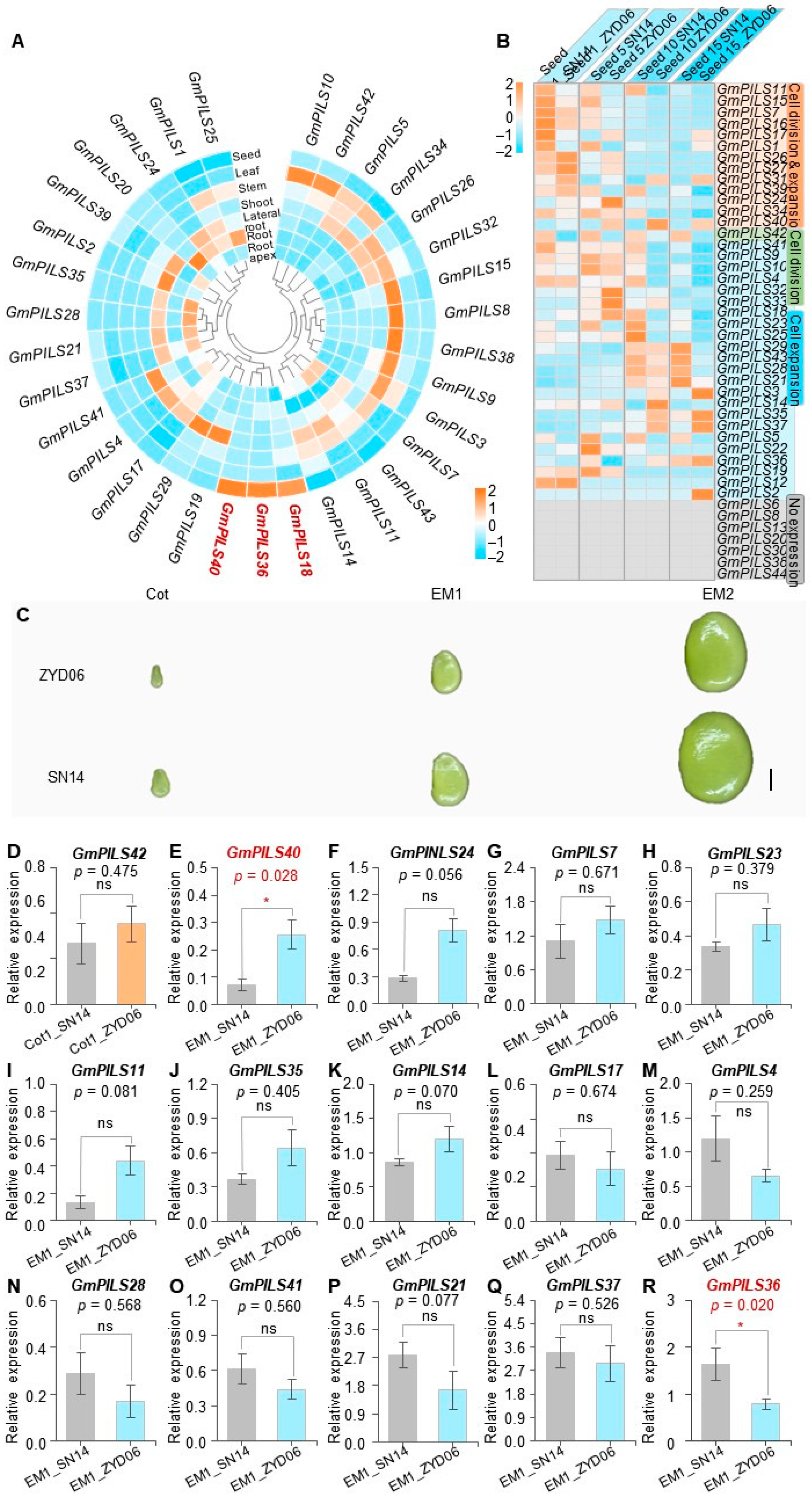 Agronomy 16 00226 g003