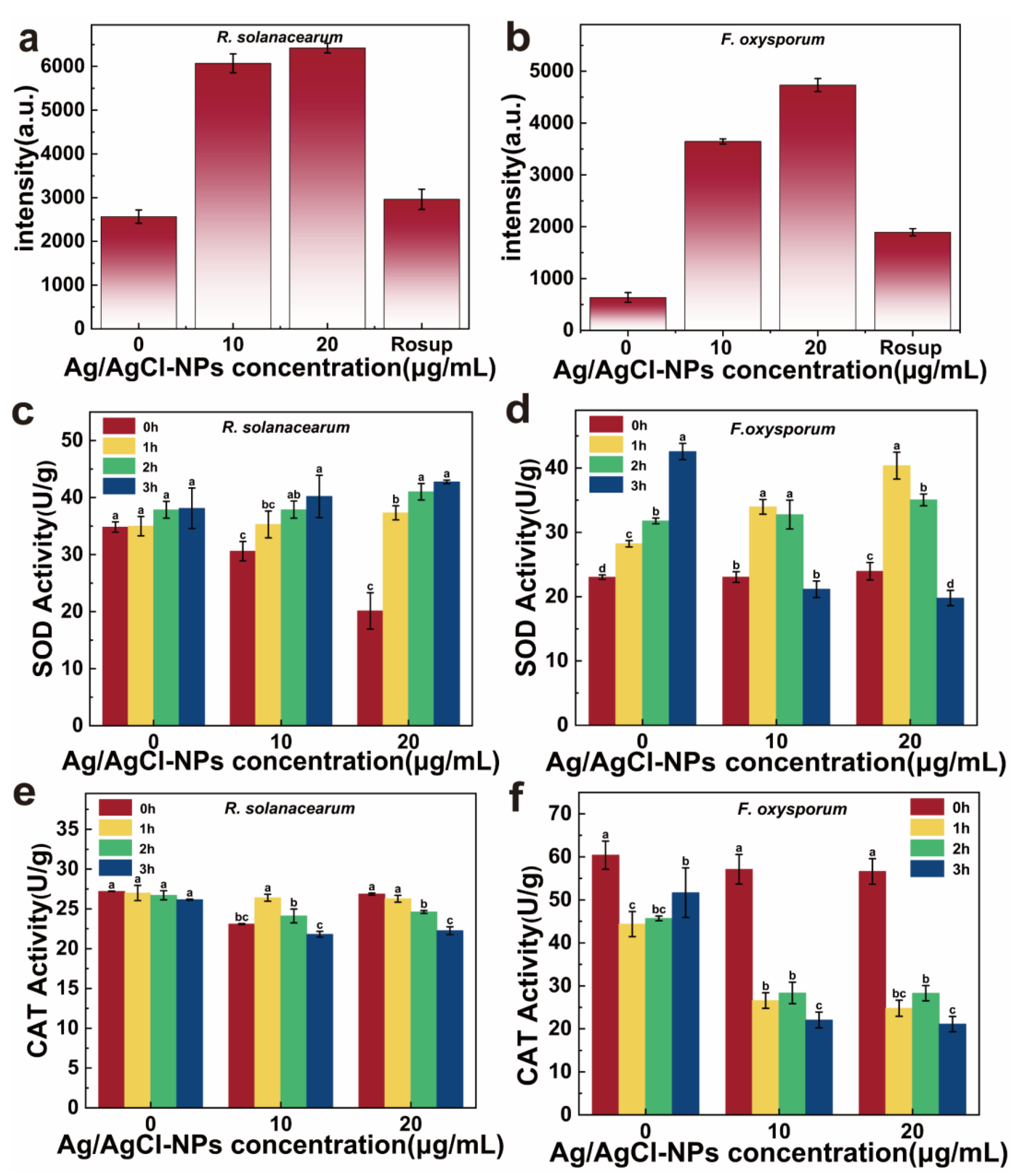 Agronomy 16 00254 g007