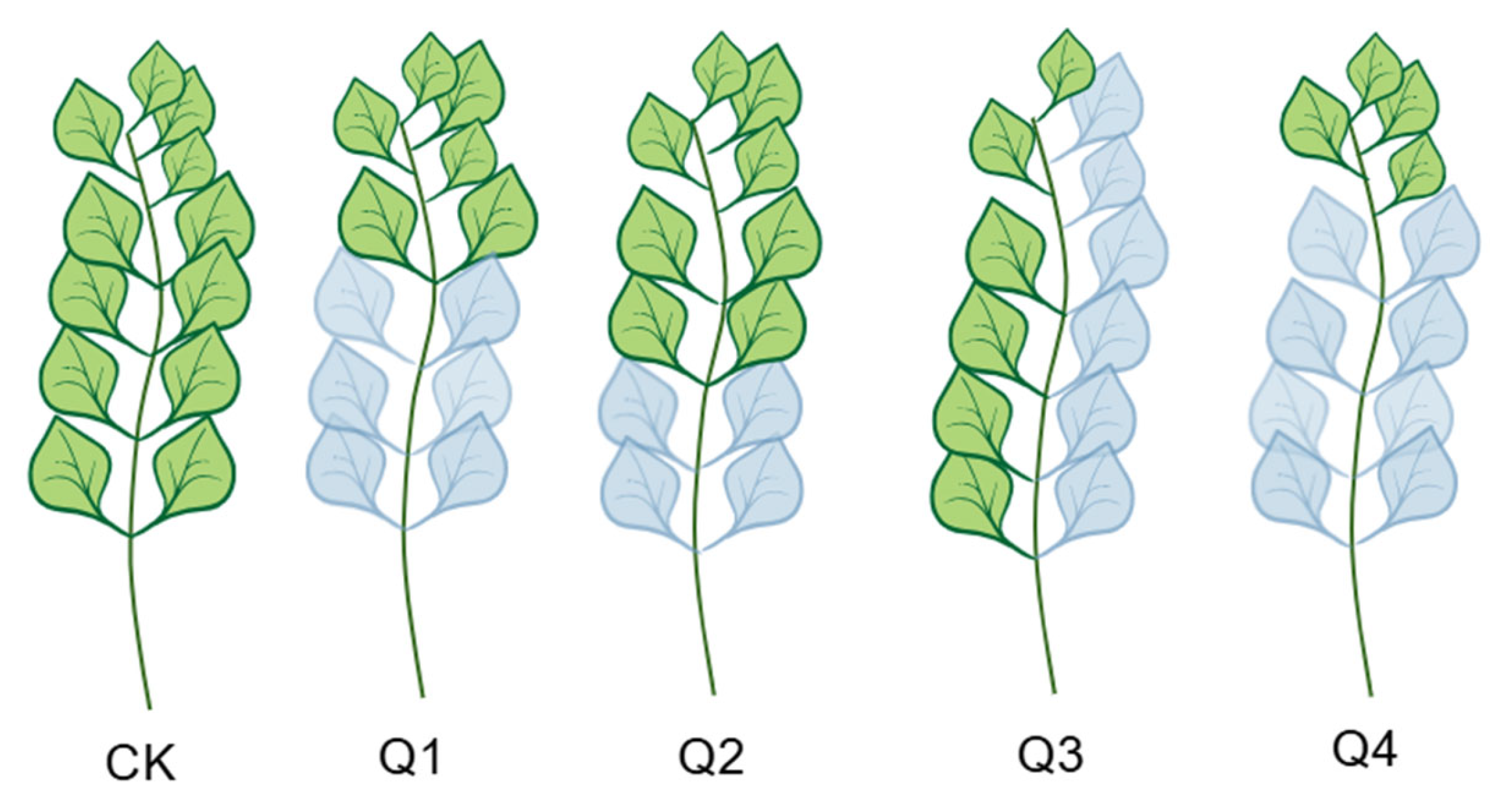 Agronomy 16 00266 g001 Agronomy 16 00266 g001